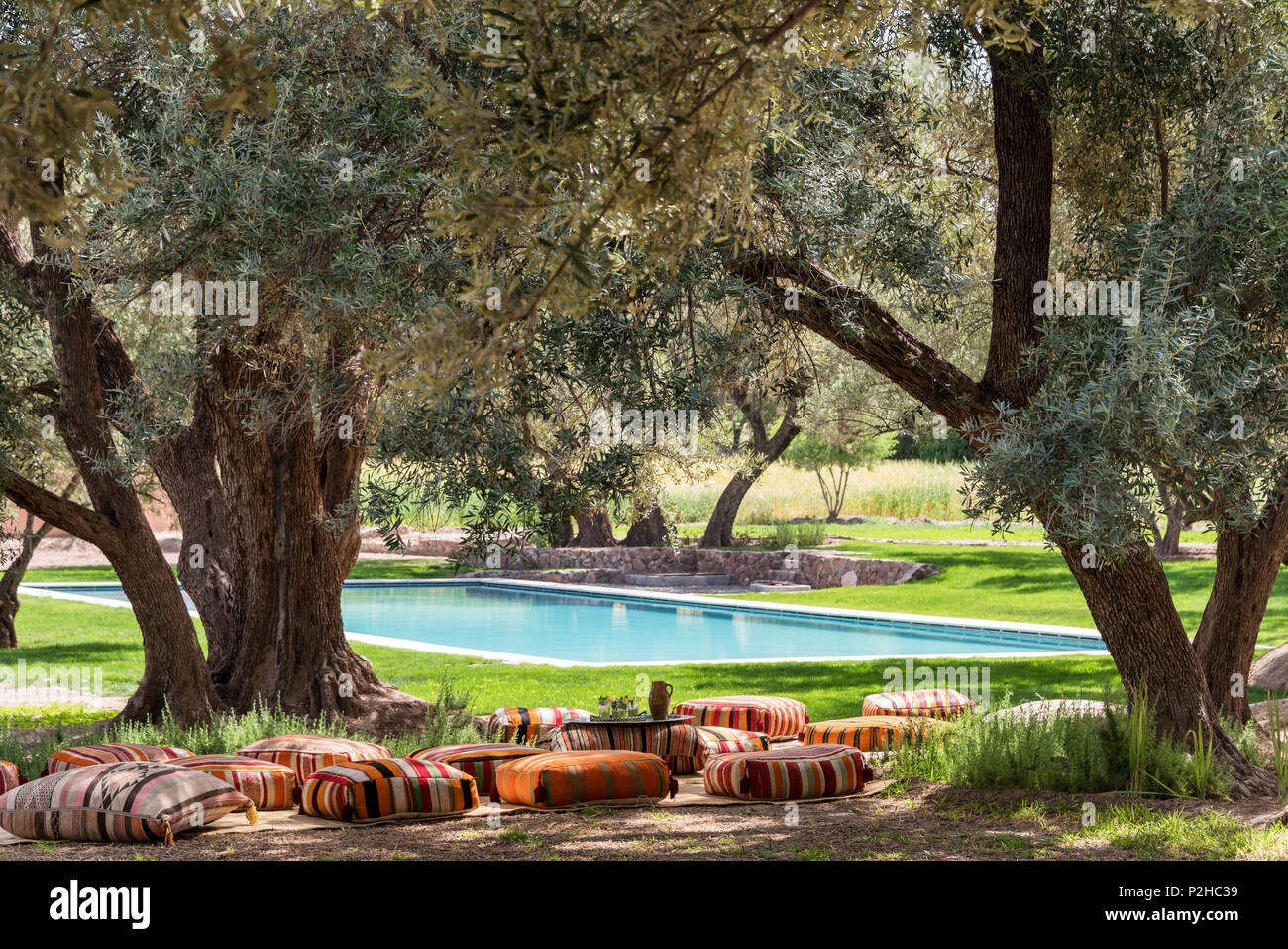 Kilim pouffs imbottiti sparsi tra alberi di olivo in giardino con piscina Foto Stock