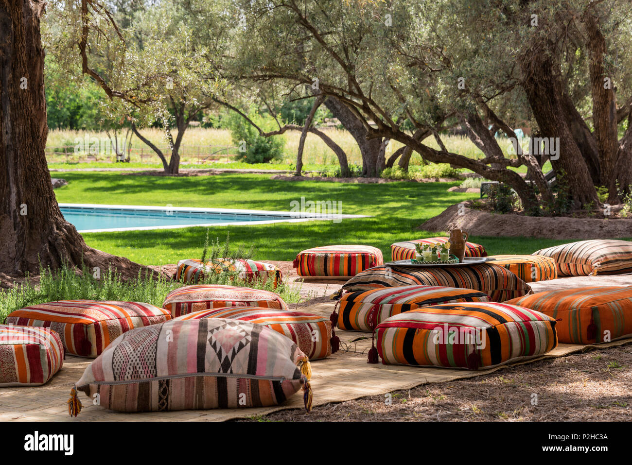 Kilim pouffs imbottiti sparsi tra alberi di olivo in giardino con piscina Foto Stock