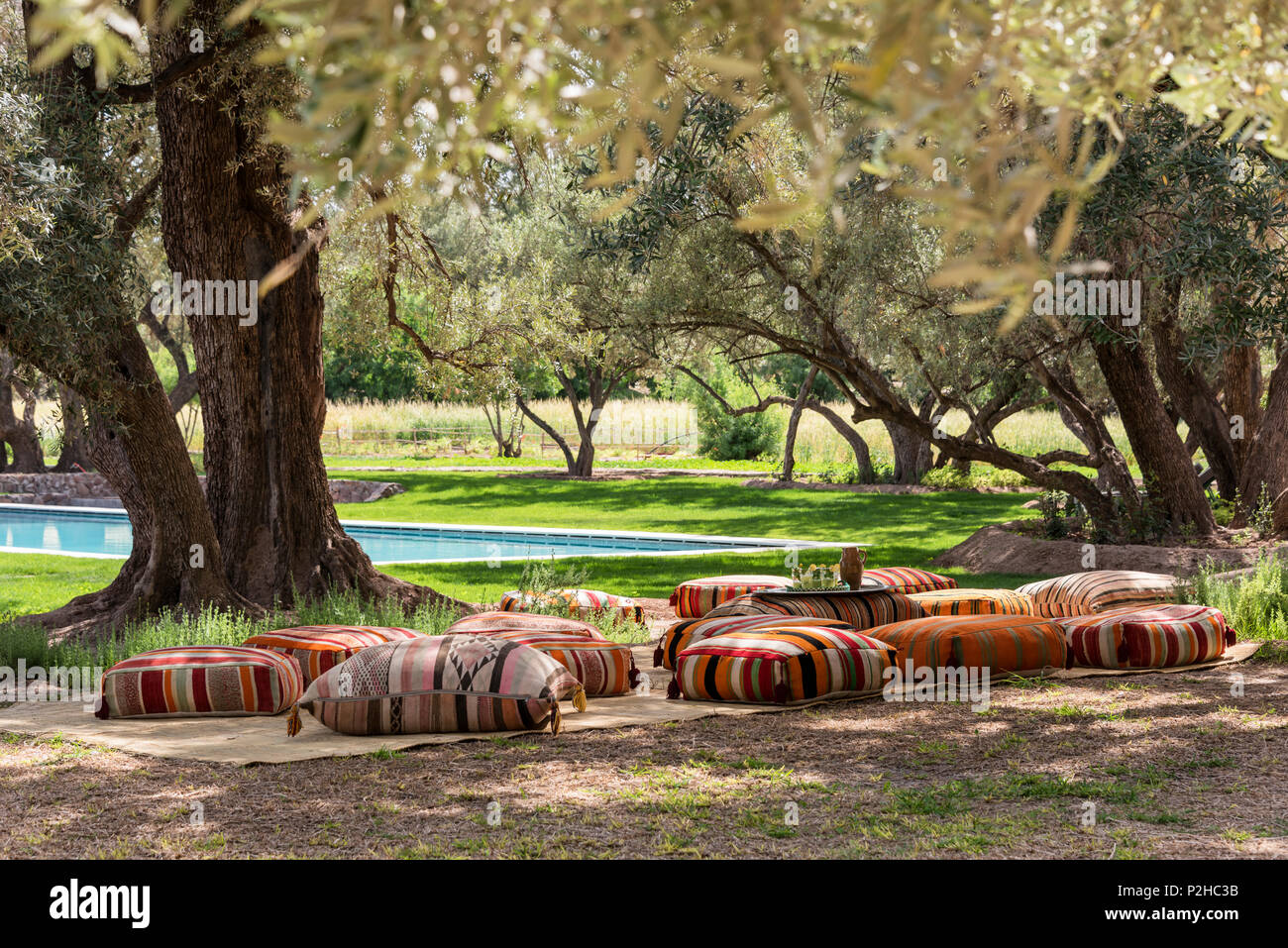 Kilim pouffs imbottiti sparsi tra alberi di olivo in giardino con piscina Foto Stock
