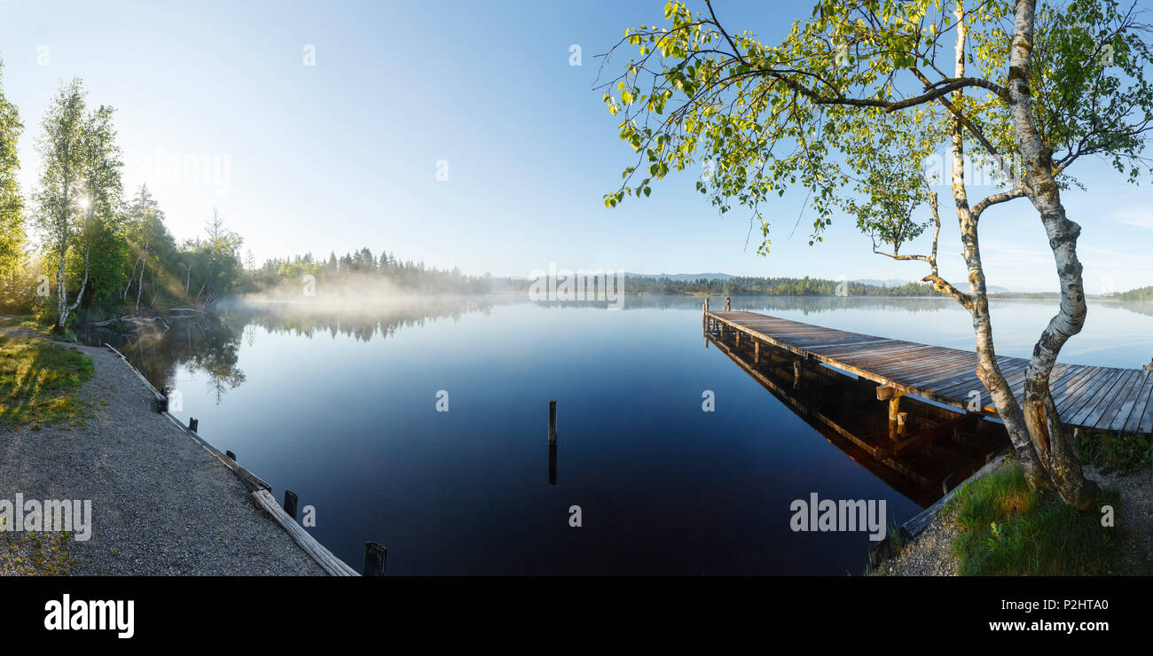 Il molo in legno, molo di balneazione sul Lago Kirchsee vicino Sachsenkamm in primavera presso sunrise, lande lago, Ellbach Kirchseemoor e natura Foto Stock