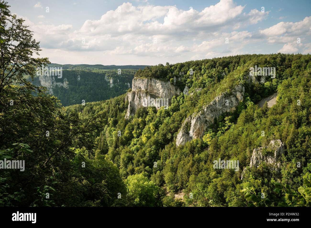 Vista verso la foresta e il paesaggio di roccia nel Danubio superiore Natura Park, Sigmaringen, Tuttlingen, Zollernalb, Biberach, Svevo un Foto Stock