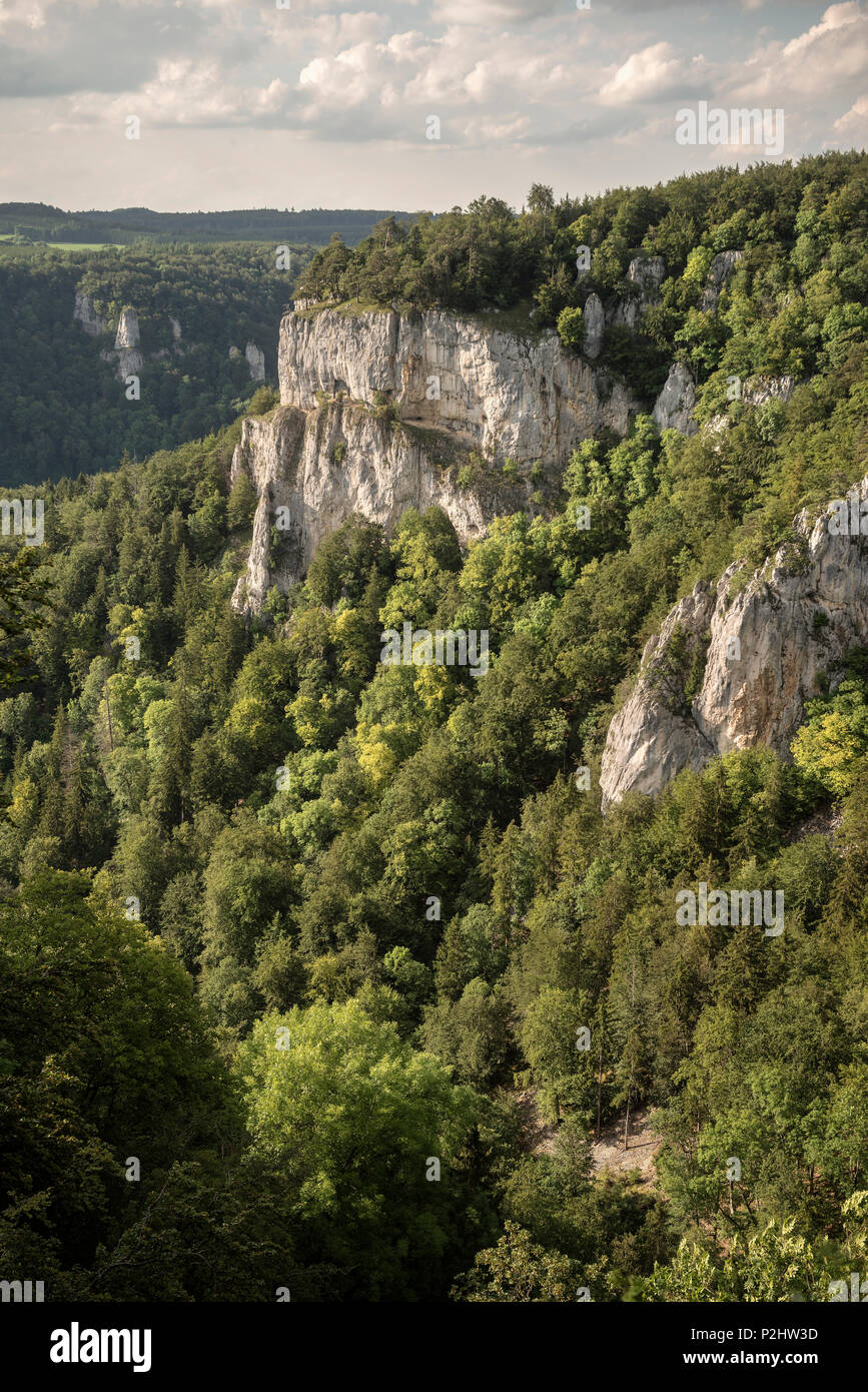 Vista verso la foresta e il paesaggio di roccia nel Danubio superiore Natura Park, Sigmaringen, Tuttlingen, Zollernalb, Biberach, Svevo un Foto Stock