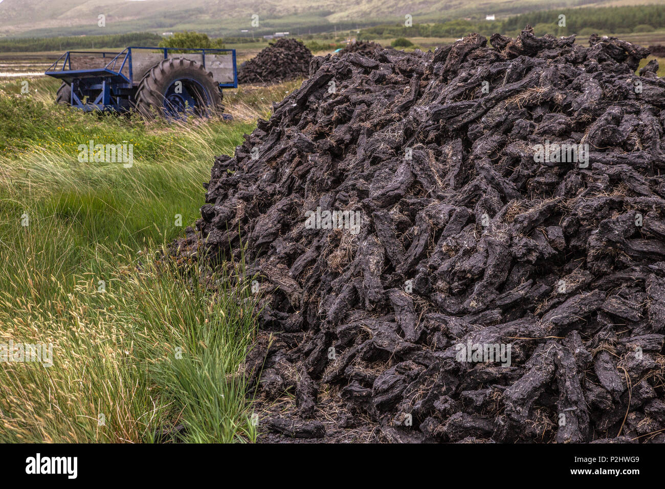 Tumulo di tappeto erboso a secco a torbiera, Renard Contea di Kerry Irlanda Foto Stock