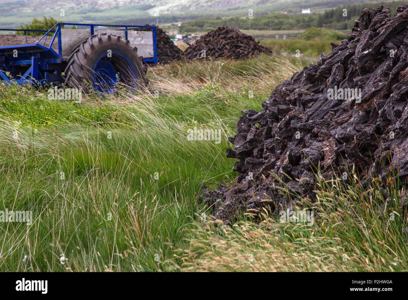 Tumulo di tappeto erboso a secco a torbiera, Renard Contea di Kerry Irlanda Foto Stock