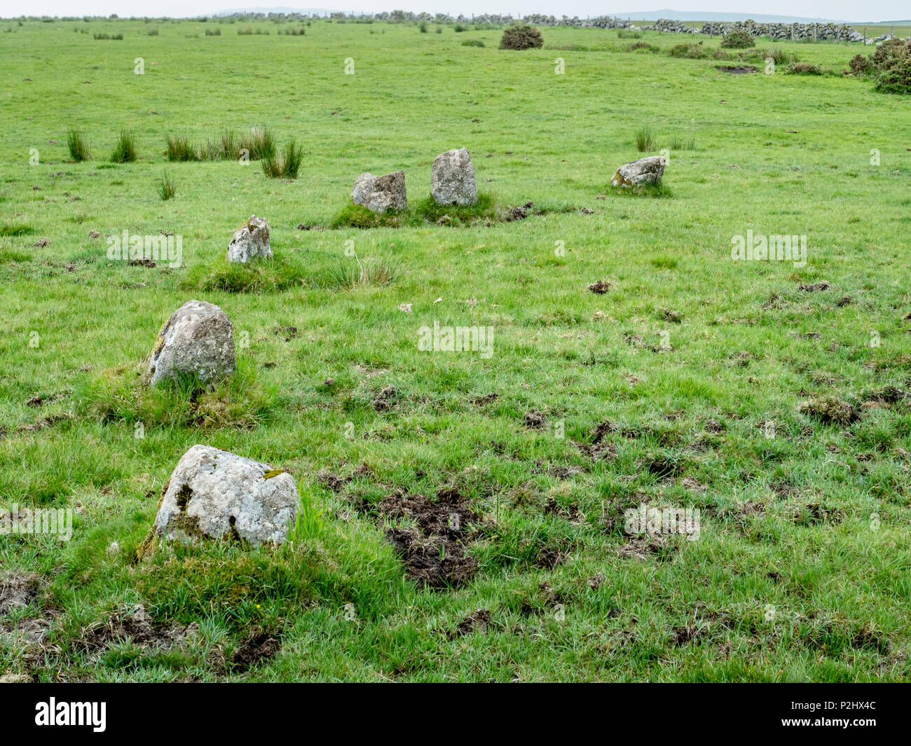 Resta parziale di Sherberton cerchio di pietra vicino Hexworthy nel Parco Nazionale di Dartmoor Devon UK Foto Stock