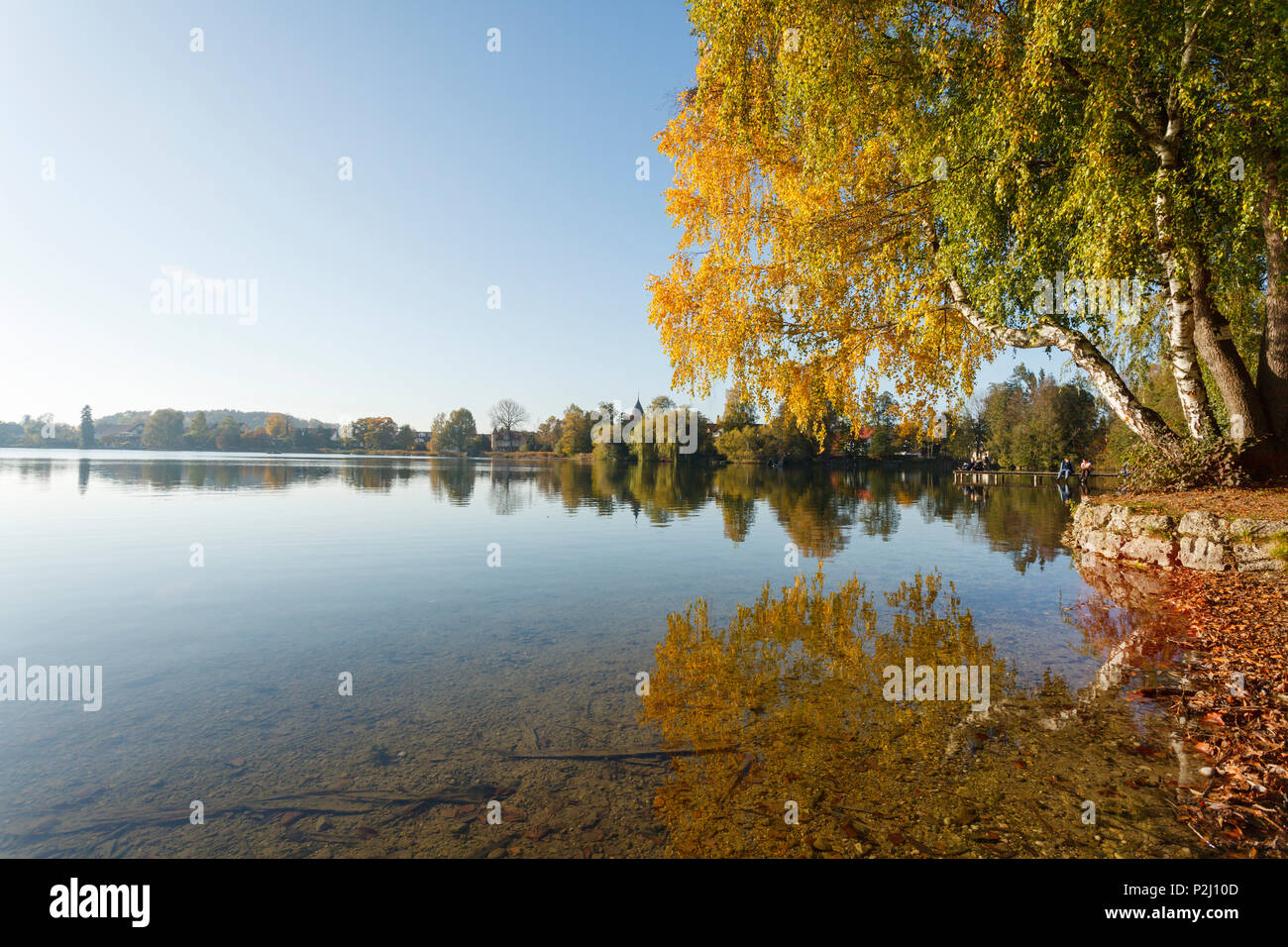 Wesslinger vedere in autunno, estate indiana, sul lago Starnberg cinque laghi, distretto Starnberg, bavarese foreland alpino, superiore Foto Stock