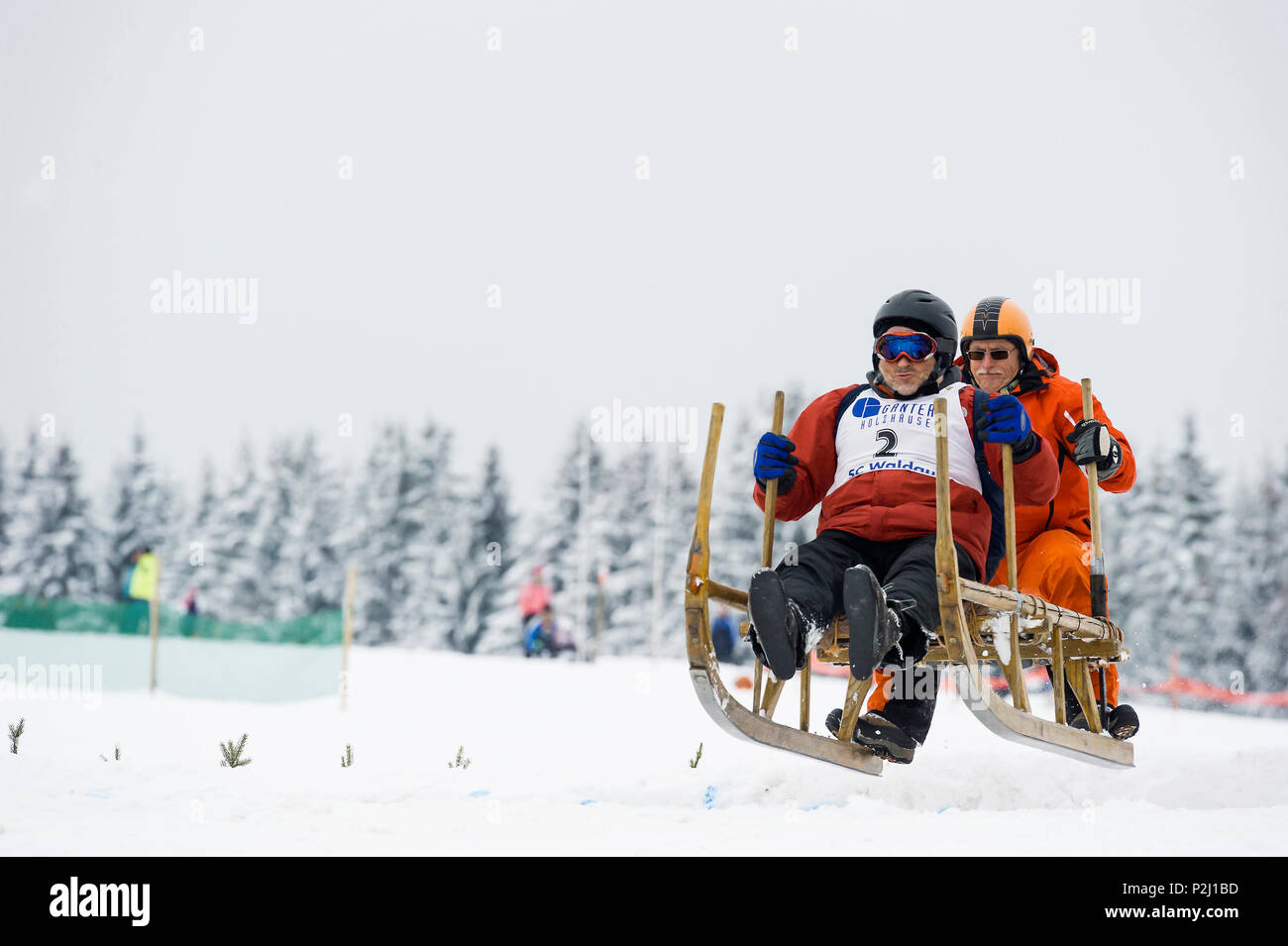 Tradizionale gara di sled, Waldau, Titisee-Neustadt, Foresta Nera, Baden-Wuerttemberg, Germania Foto Stock