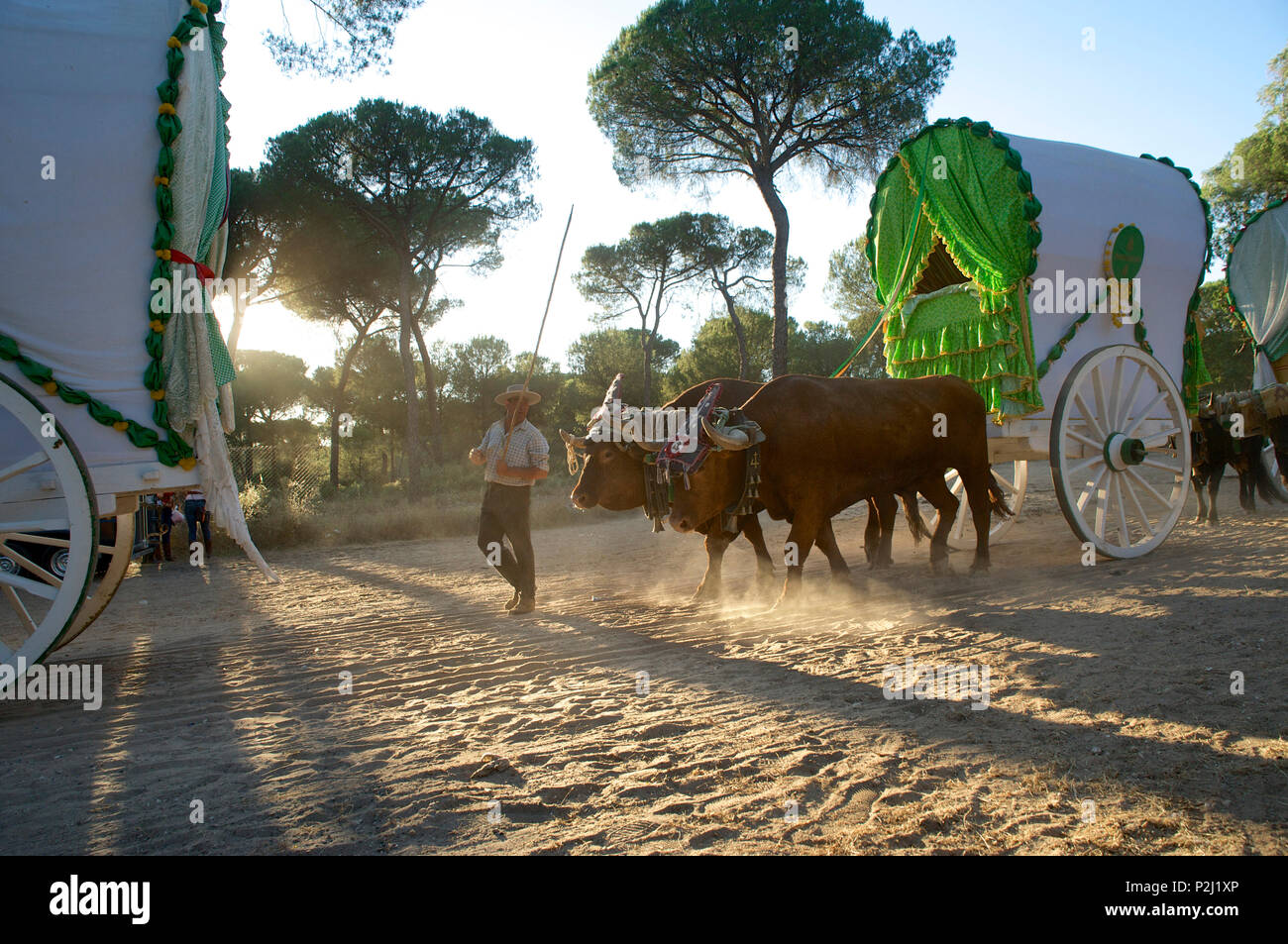 Pellegrini con oxcart sul modo di El Rocio sulla rotta La Raya Real da Sevilla a El Rocio, Huelva, Andalusien, Spanien Foto Stock