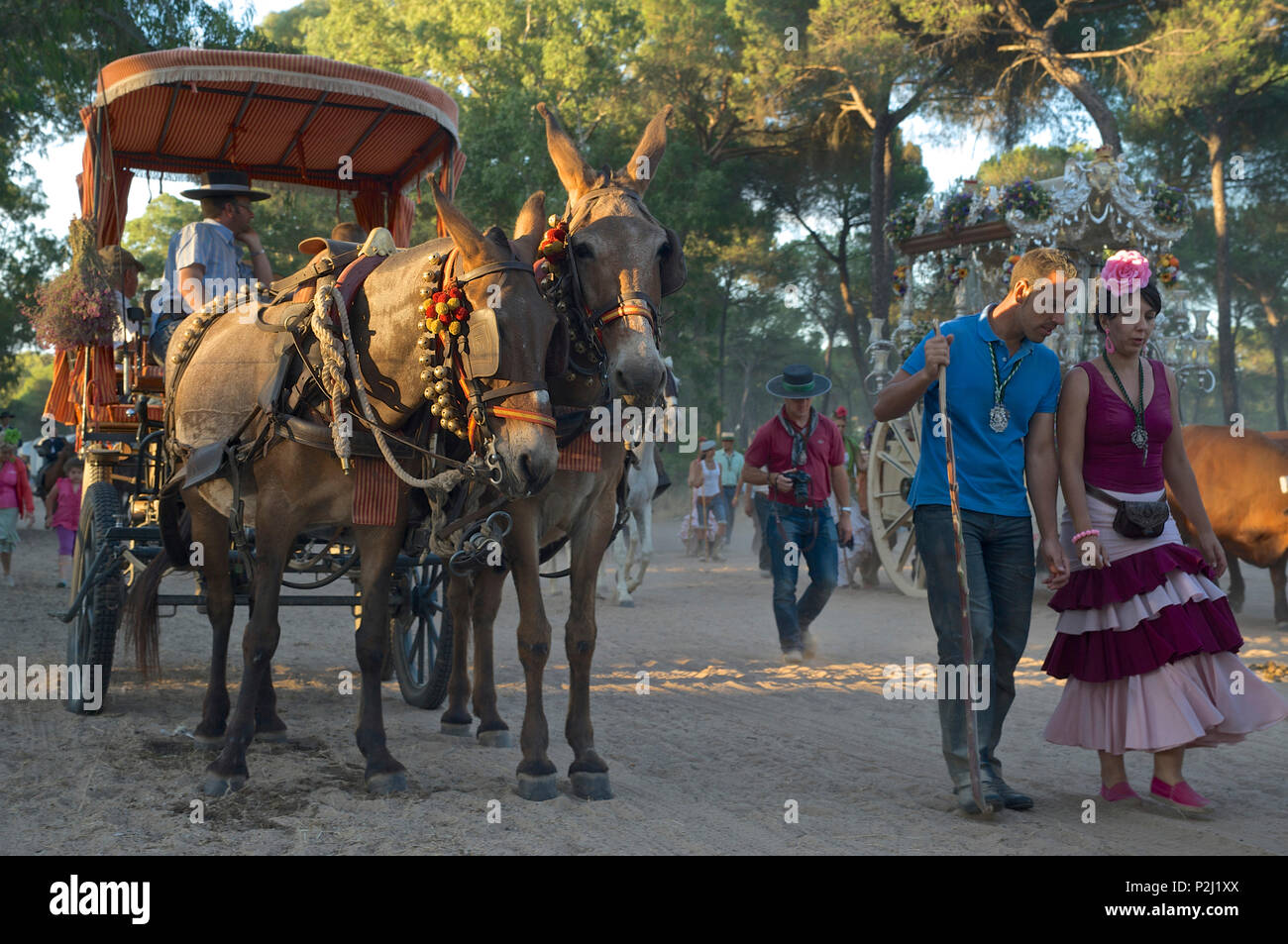 Pellegrini con oxcart su un pellegrinaggio "Nuestra Senora de El Rocio' sulla rotta La Raya Real da Siviglia a El Rocio, Huelva, un Foto Stock