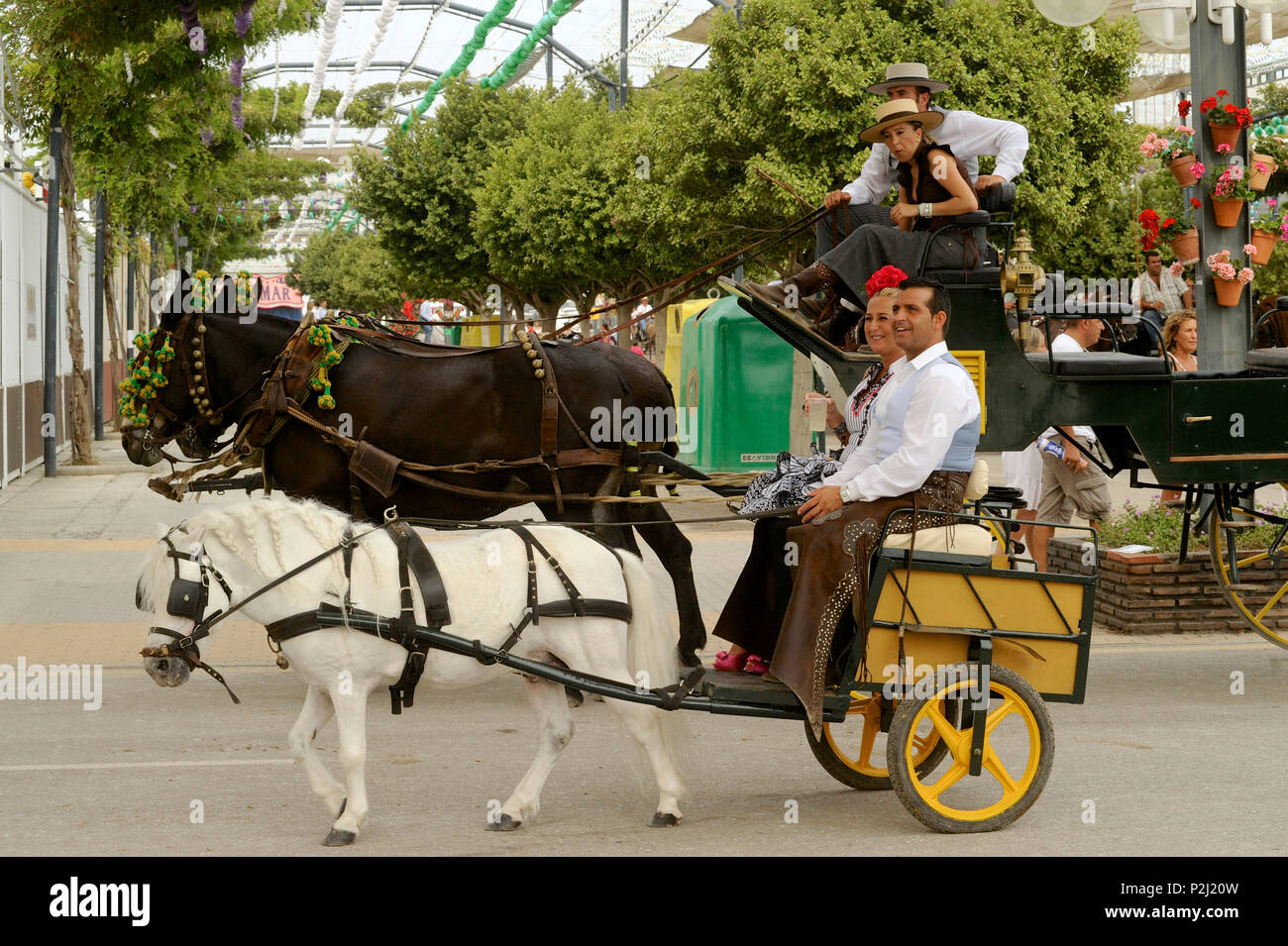 Molto piccolo carrello a cavallo nella parte anteriore del grande cavallo Chaise a Feria de Malaga, Malaga, Andalusia, Spagna Foto Stock