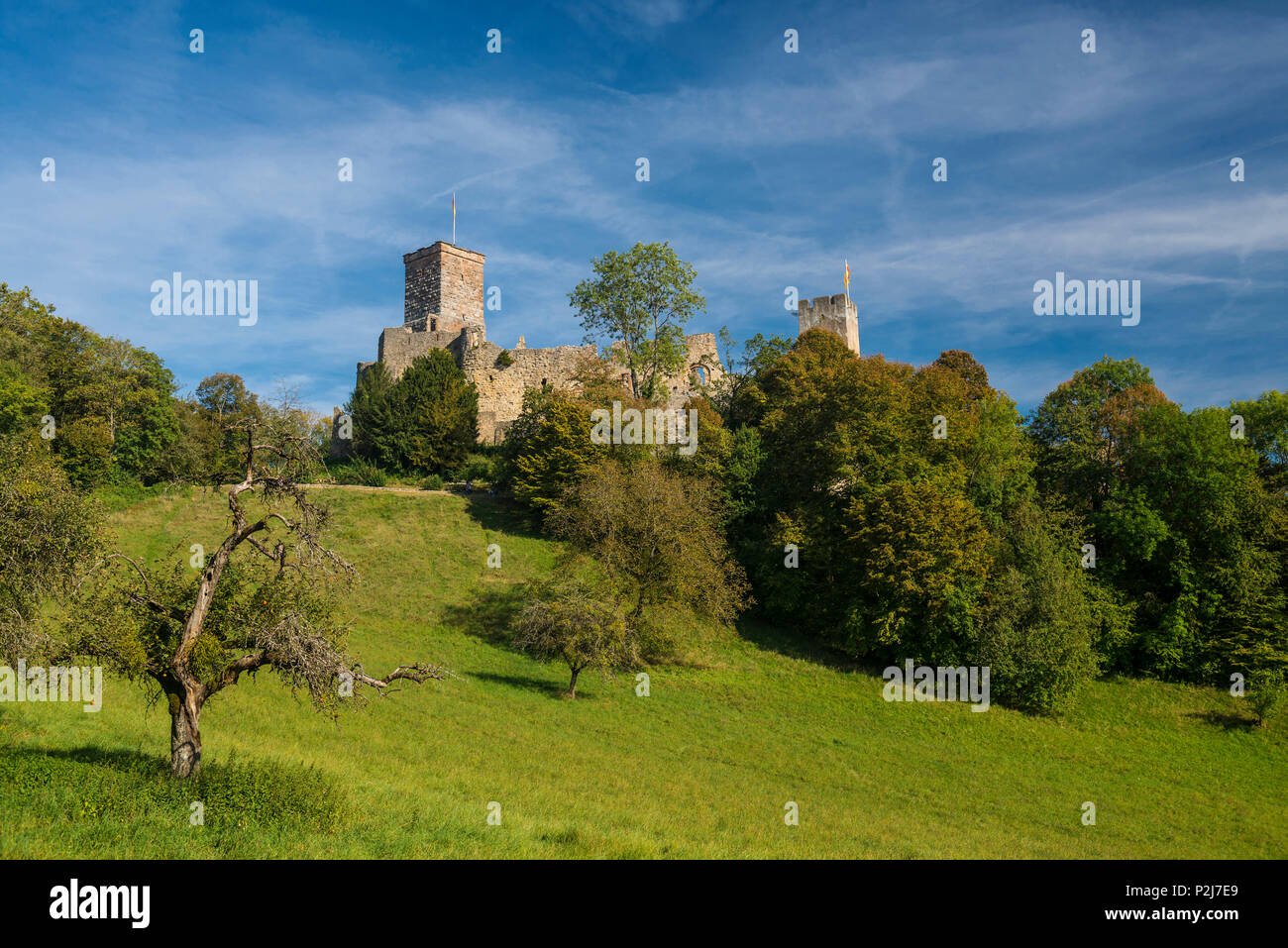Il castello di Roetteln, Loerrach, Foresta Nera, Baden-Wuerttemberg, Germania Foto Stock