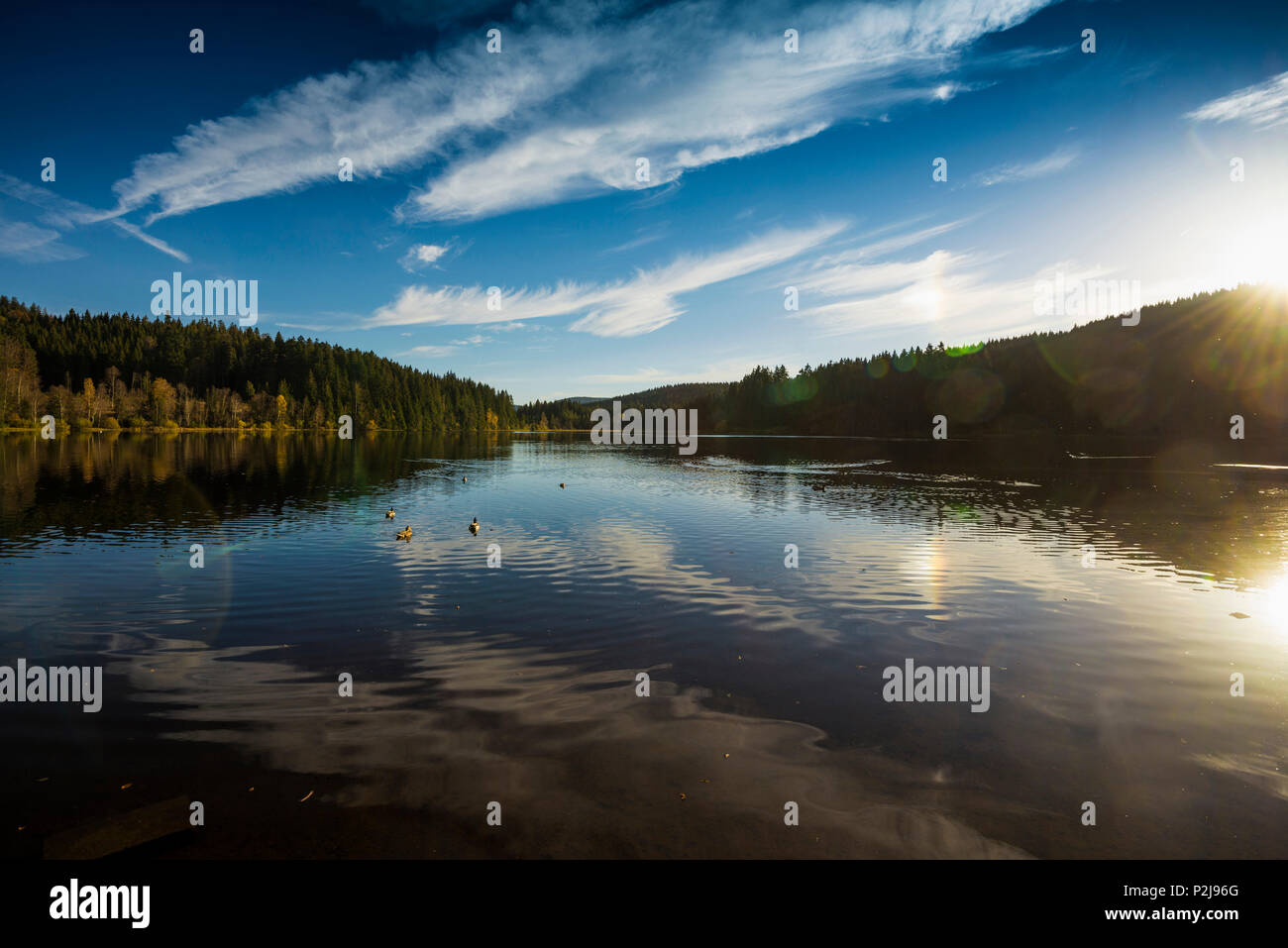 Sunset, il riflesso del cielo nel Windgfaellweiher, vicino al lago Titisee, Foresta Nera, Baden-Wuerttemberg, Germania Foto Stock