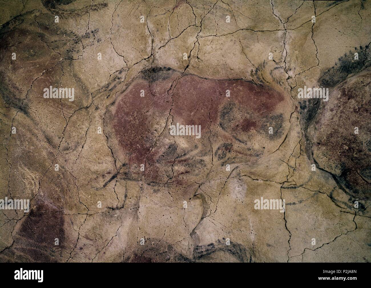 Il bisonte. Pittura rupestre di Altamira. Il paleolitico superiore periodo. Posizione: CUEVAS DE ALTAMIRA, SANTILLANA DEL MAR, Spagna. Foto Stock
