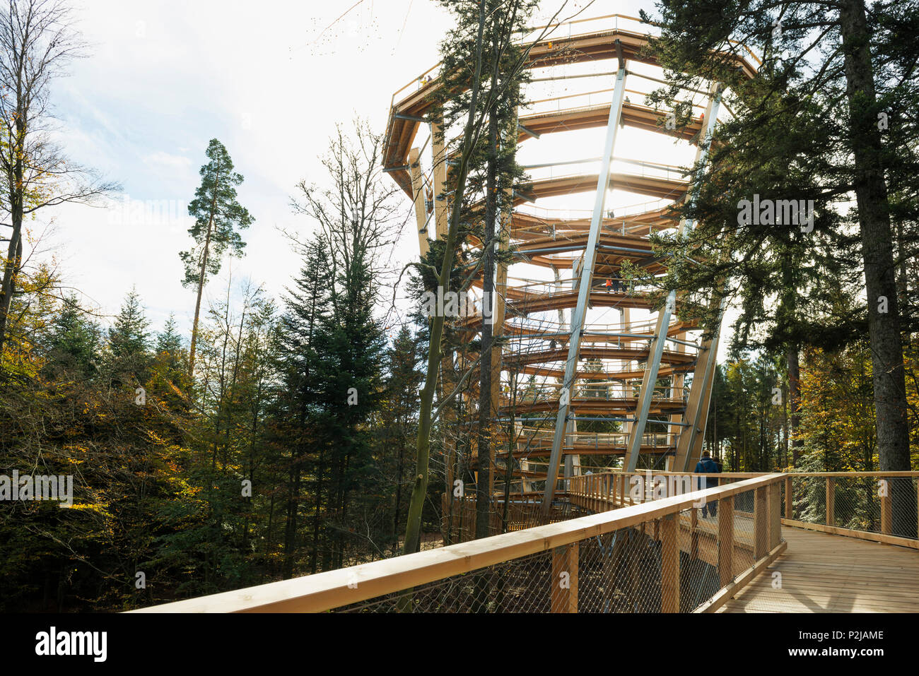 Tree Top Walk, Bad Wildbad, distretto di Calw, Foresta Nera, Baden-Wuerttemberg, Germania Foto Stock