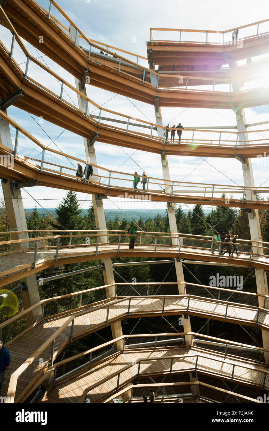 Tree Top Walk, Bad Wildbad, distretto di Calw, Foresta Nera, Baden-Wuerttemberg, Germania Foto Stock