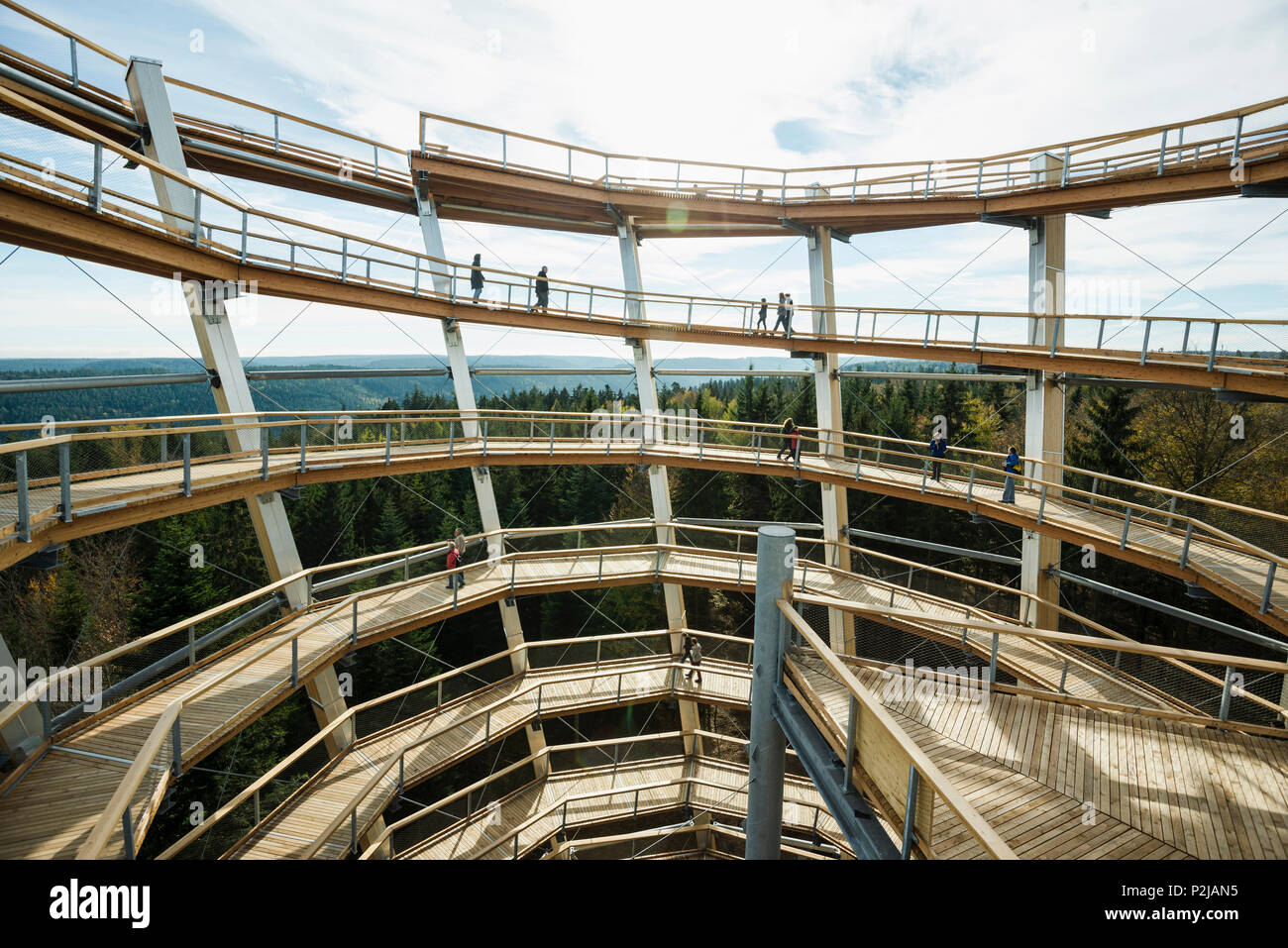 Tree Top Walk, Bad Wildbad, distretto di Calw, Foresta Nera, Baden-Wuerttemberg, Germania Foto Stock
