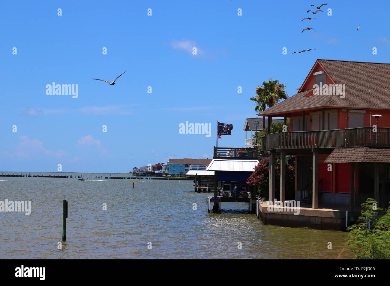 Waterfront homes in Galveston, Texas Gulf Coast, Stati Uniti d'America. Pellicani volare in formazione, paesaggio marittimo con la bandiera dei pirati. Foto Stock