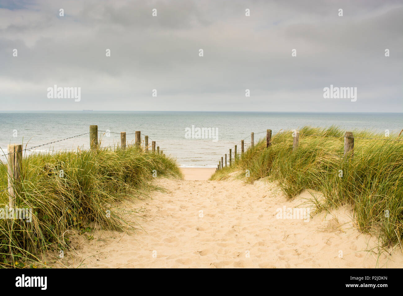 In tipico stile olandese vista sul mare con dune, sabbia, percorso marram erba, poli, cielo grigio con le nuvole Foto Stock