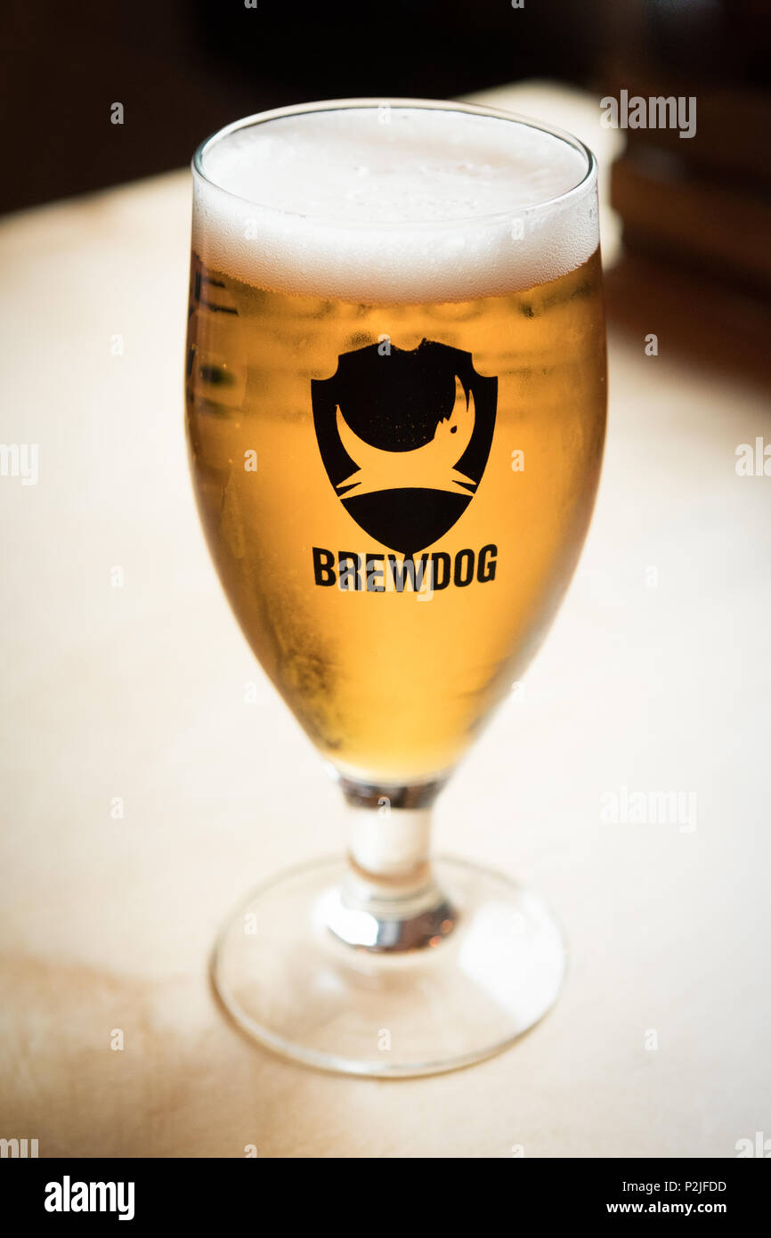 Bicchiere di Brewdog Punk IPA servita nell'DogTap, Ellon, Aberdeenshire, Scotland, Regno Unito Foto Stock