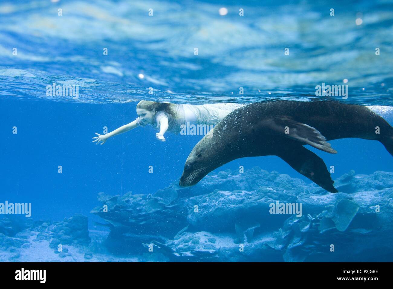 Pellicola originale titolo: L'ISOLA del NIM. Titolo inglese: l'isola del Nim. Regista: Abigail Breslin; MARK LEVIN; Jennifer Flackett. Anno: 2008. Stelle: Abigail Breslin. Credito: FILM FARM/Walden Media / Album Foto Stock