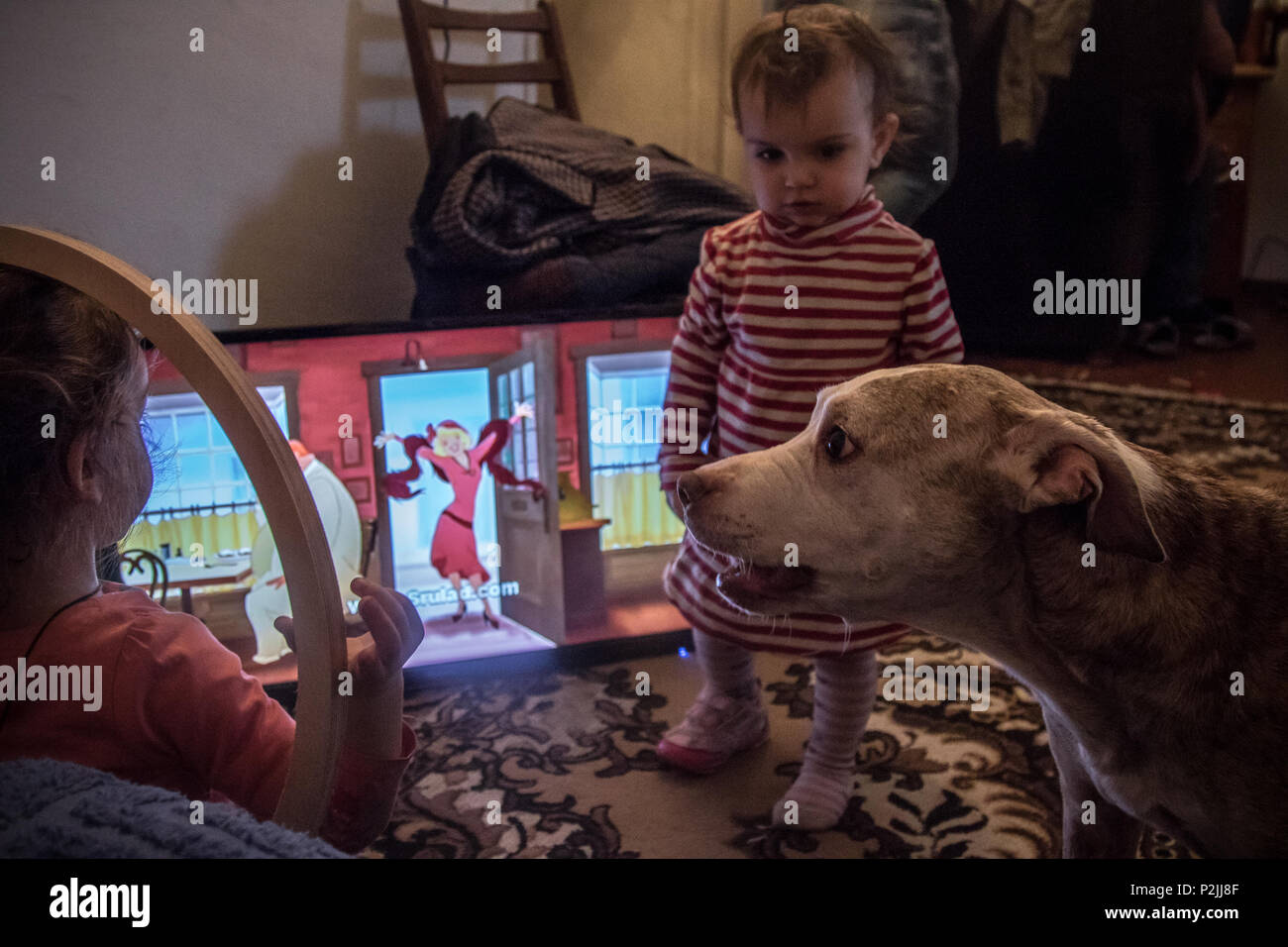 Bambini e cani Foto Stock