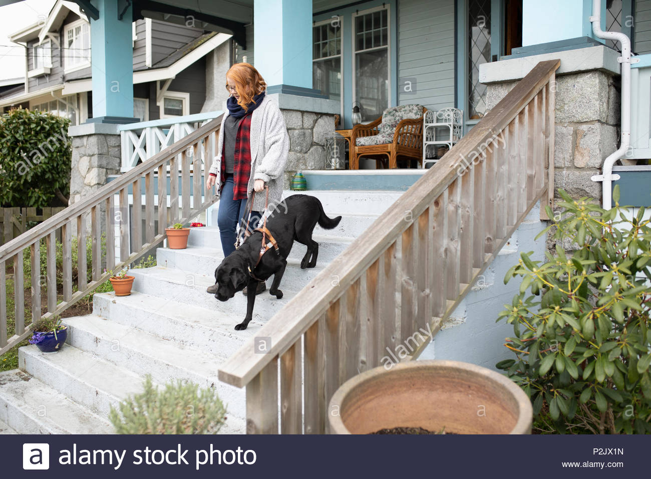 Seeing Eye dog portando ipovedenti donna giù per le scale Foto Stock