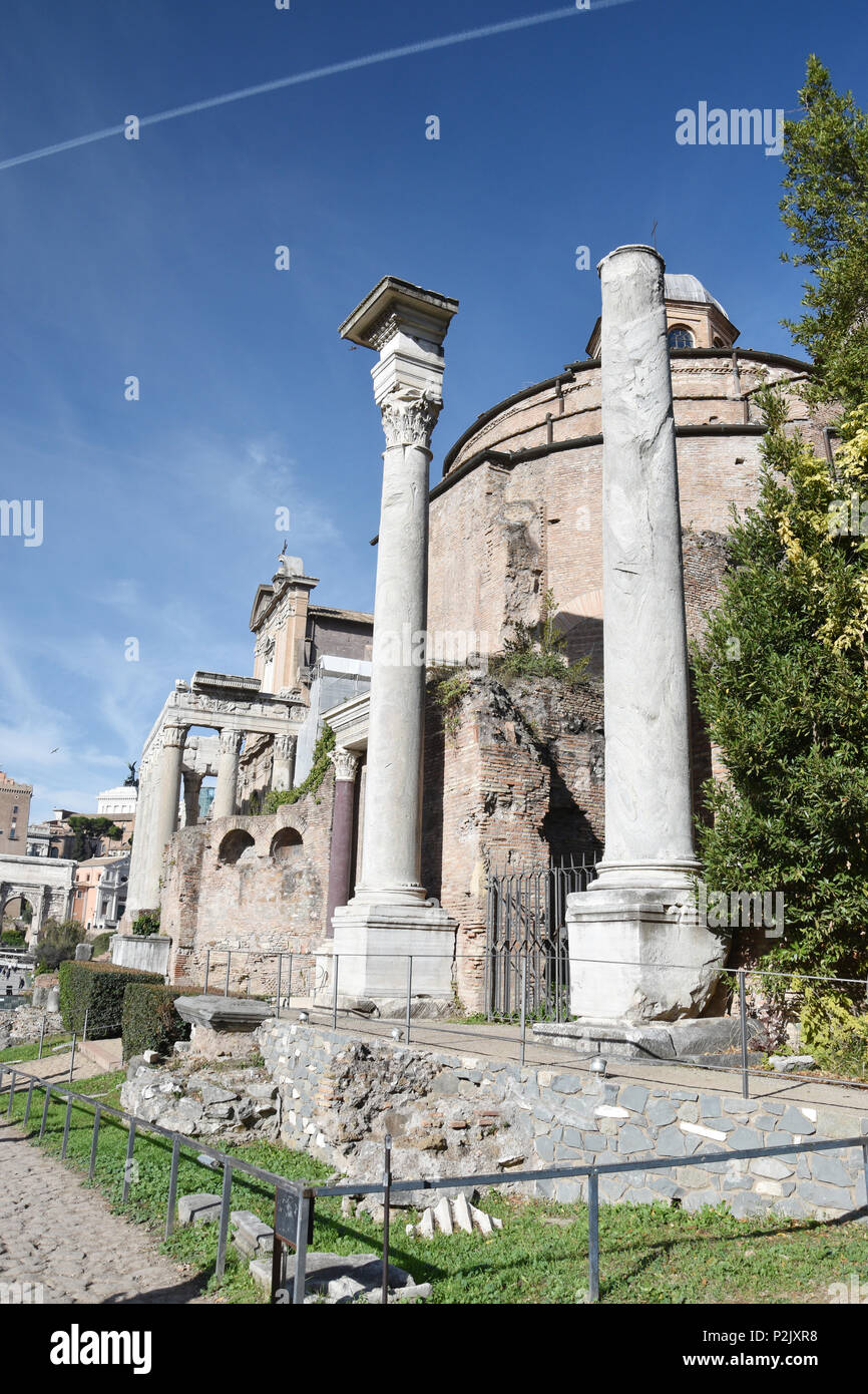 Tempio di Antonino e Faustina e il Tempio di Romolo nel Foro Romano, Roma, Italia. Foto Stock