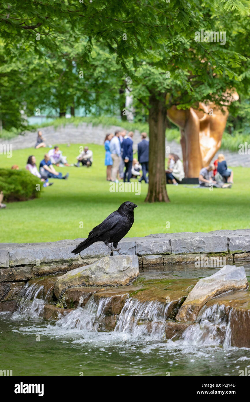 Giubileo Park, Canary Wharf, Londra Foto Stock