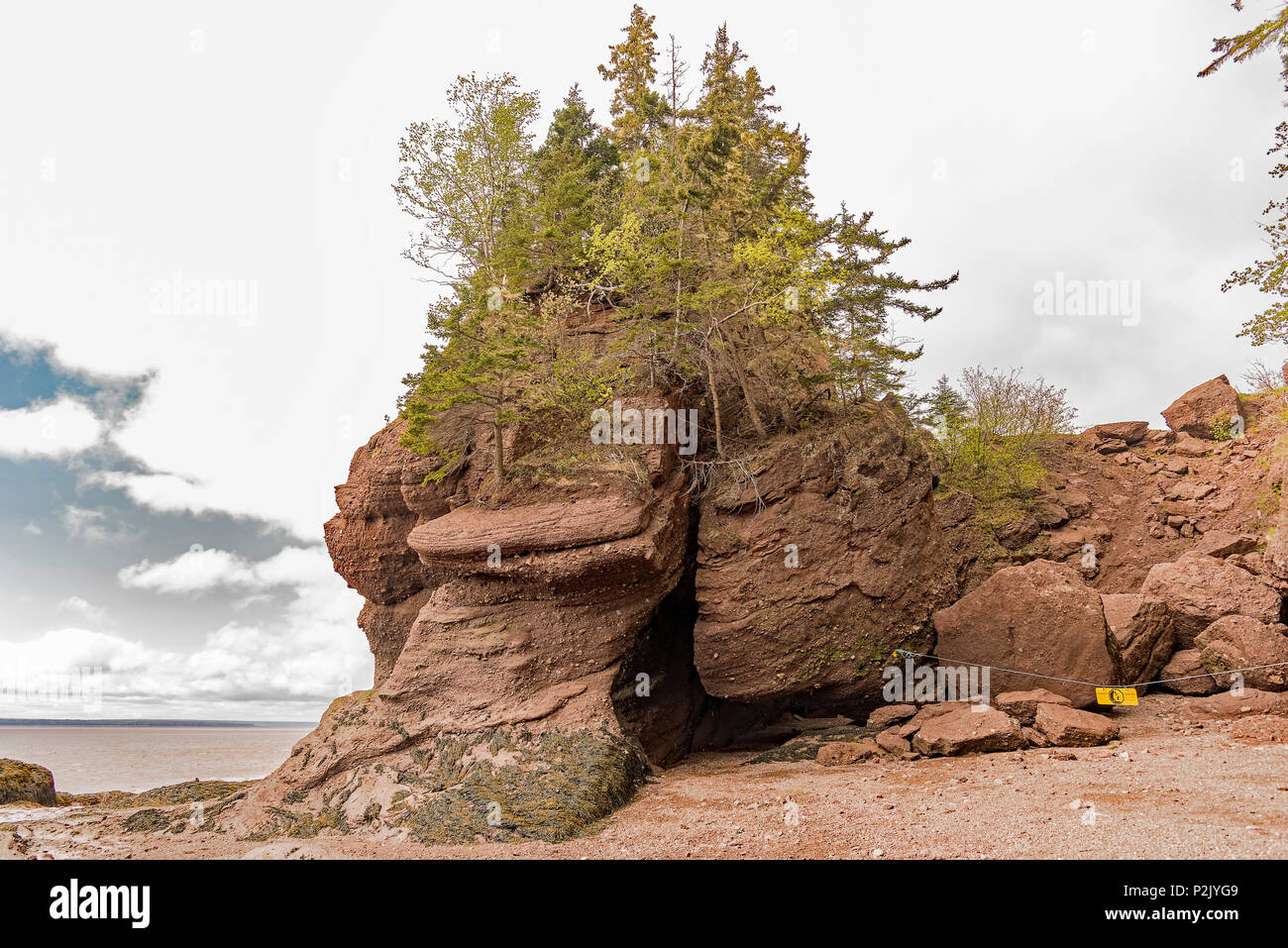 Vasi da fiori di Hopewell Rocks Parco, Hopewell Cape, NB, Canada Foto Stock