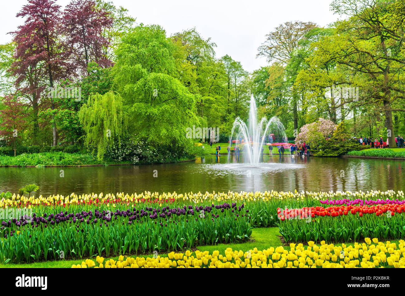 Vista del giardino Keukenhof, noto anche come il giardino d'Europa, nei Paesi Bassi. Foto Stock