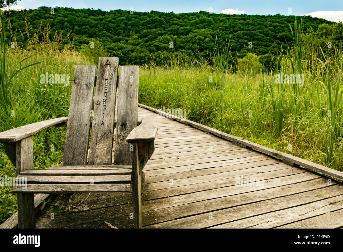 Appalachian Trail Boardwalk Foto Stock