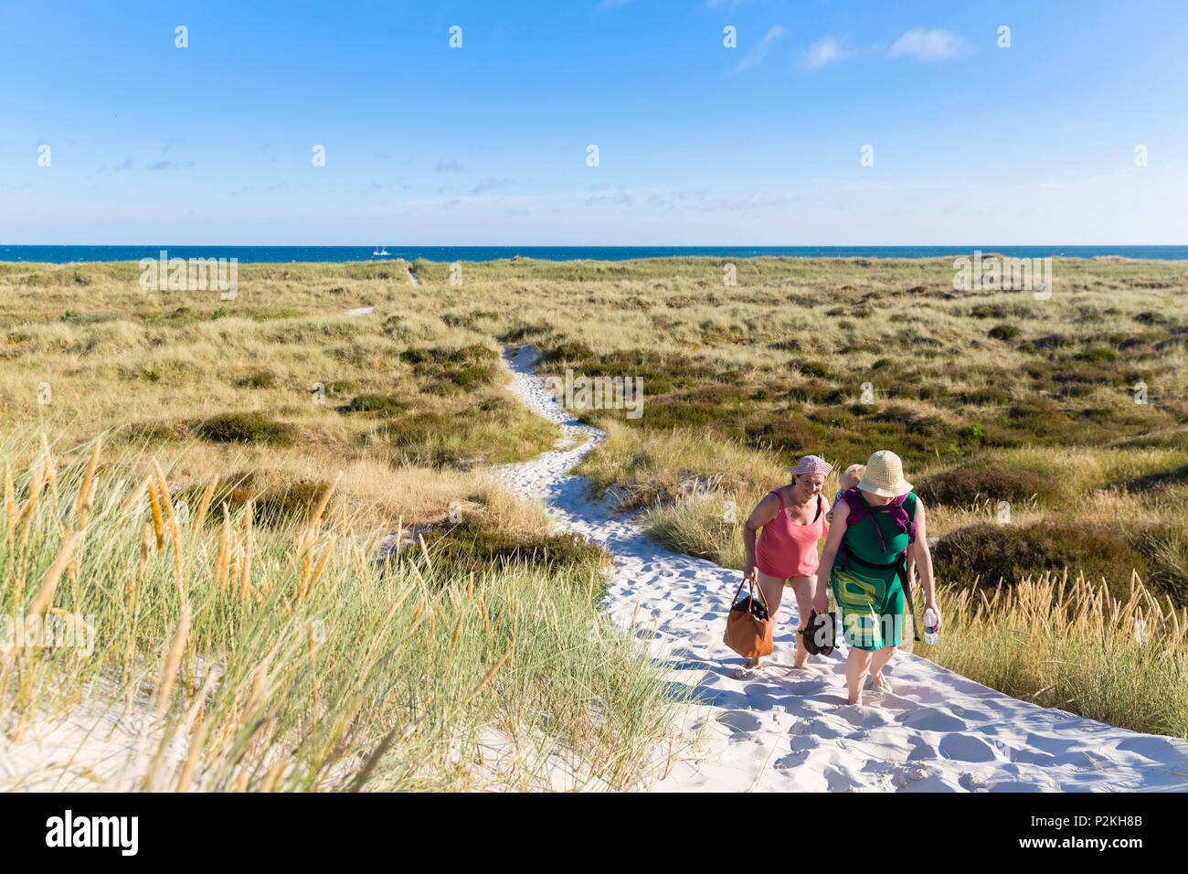 Una spiaggia da sogno e le dune di Dueodde, spiaggia sabbiosa, estate, Mar Baltico, Bornholm, Dueodde, Danimarca, Europa Foto Stock