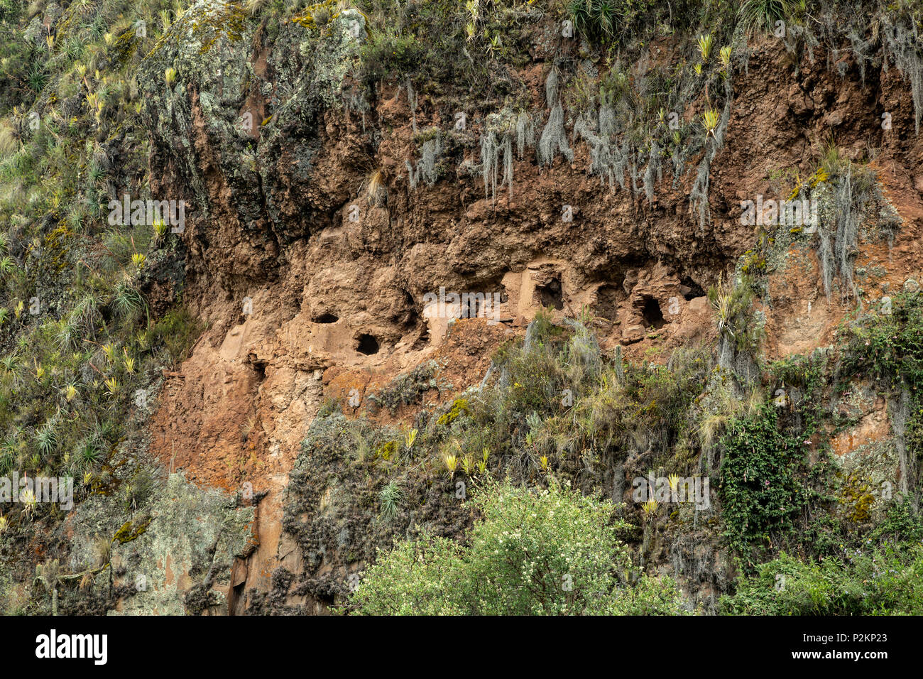 Cimitero di collina, Pisac rovine Inca, Pisac, Cusco, Perù Foto Stock