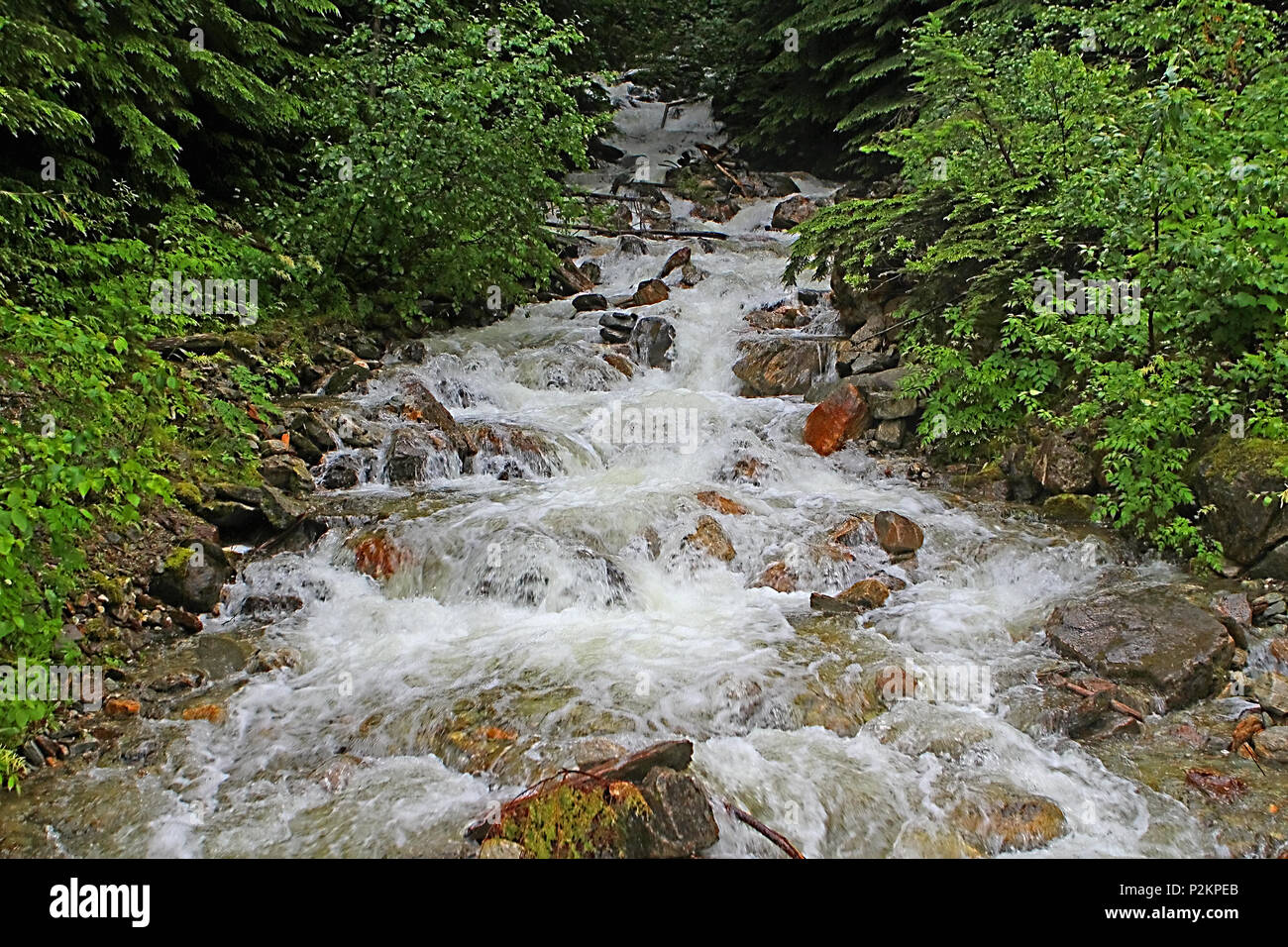 Crazy Creek, British Columbia, Canada Montagne Rocciose Foto Stock
