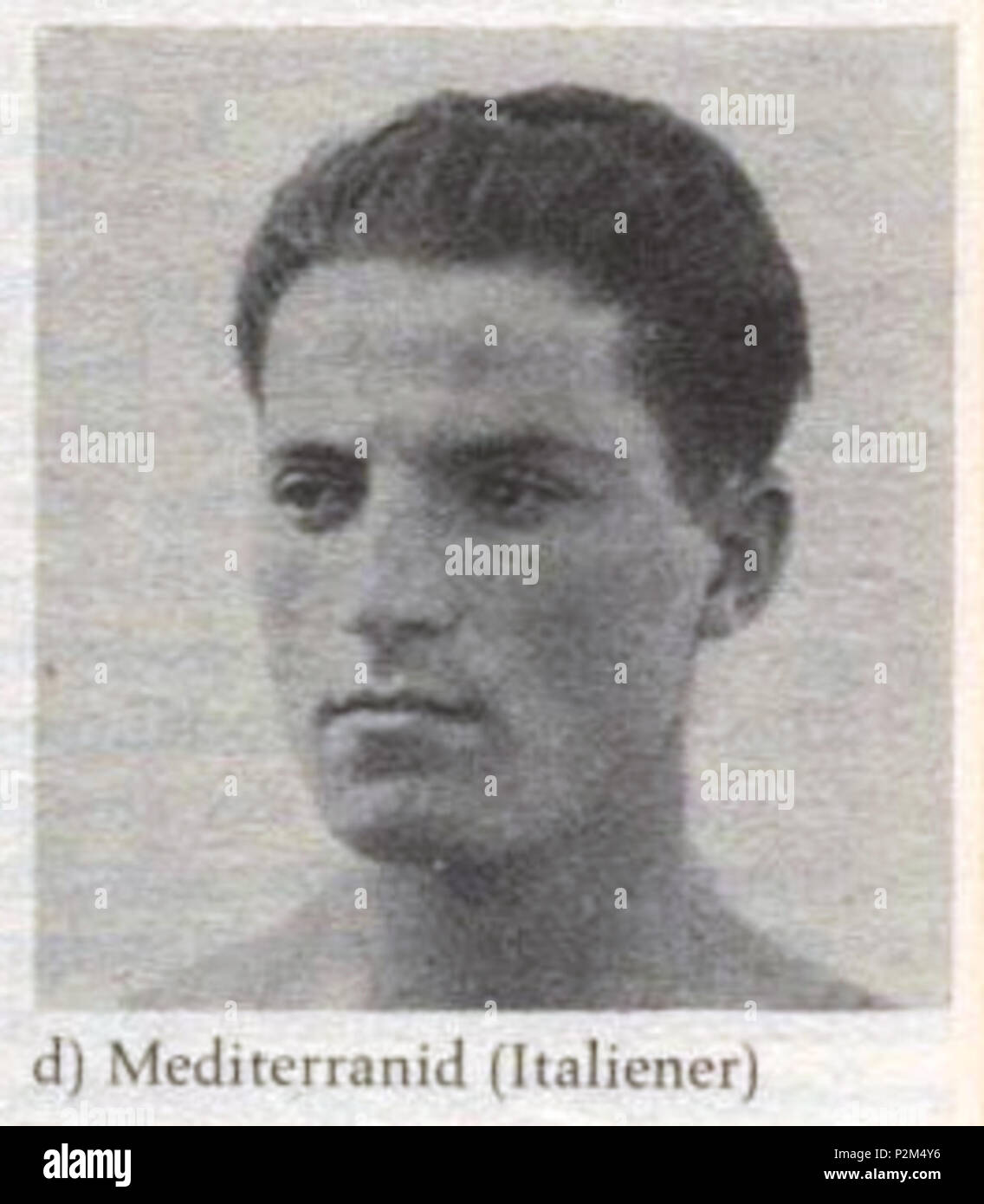 55 Mediterraneo gara Fischer Lexikon Foto Stock