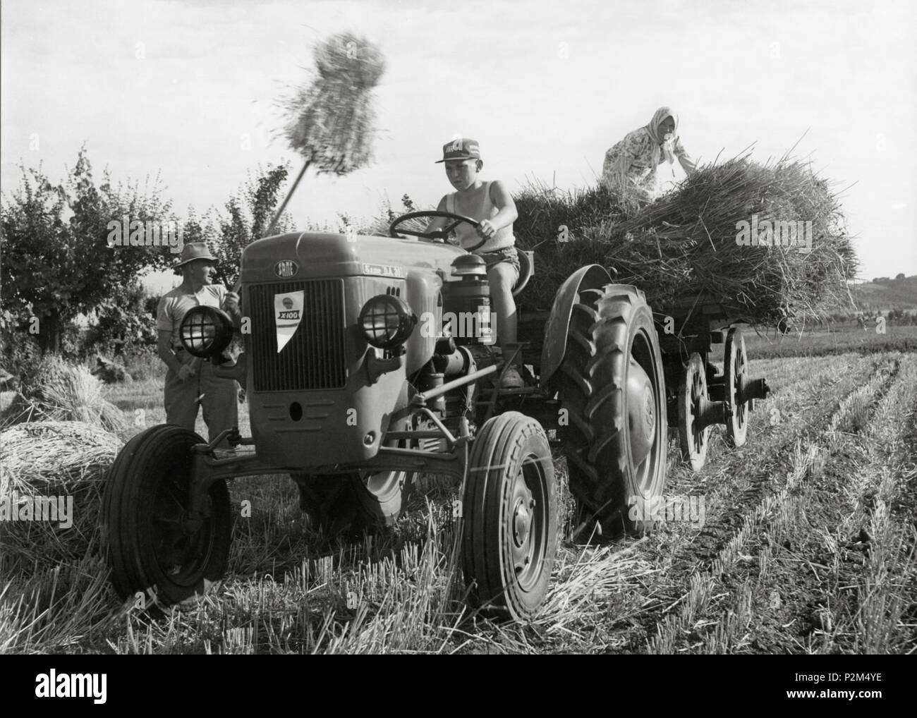 . Italiano: STESSO DA30 . Il 3 luglio 2012. 17 sconosciuto Cassani da30 Foto Stock