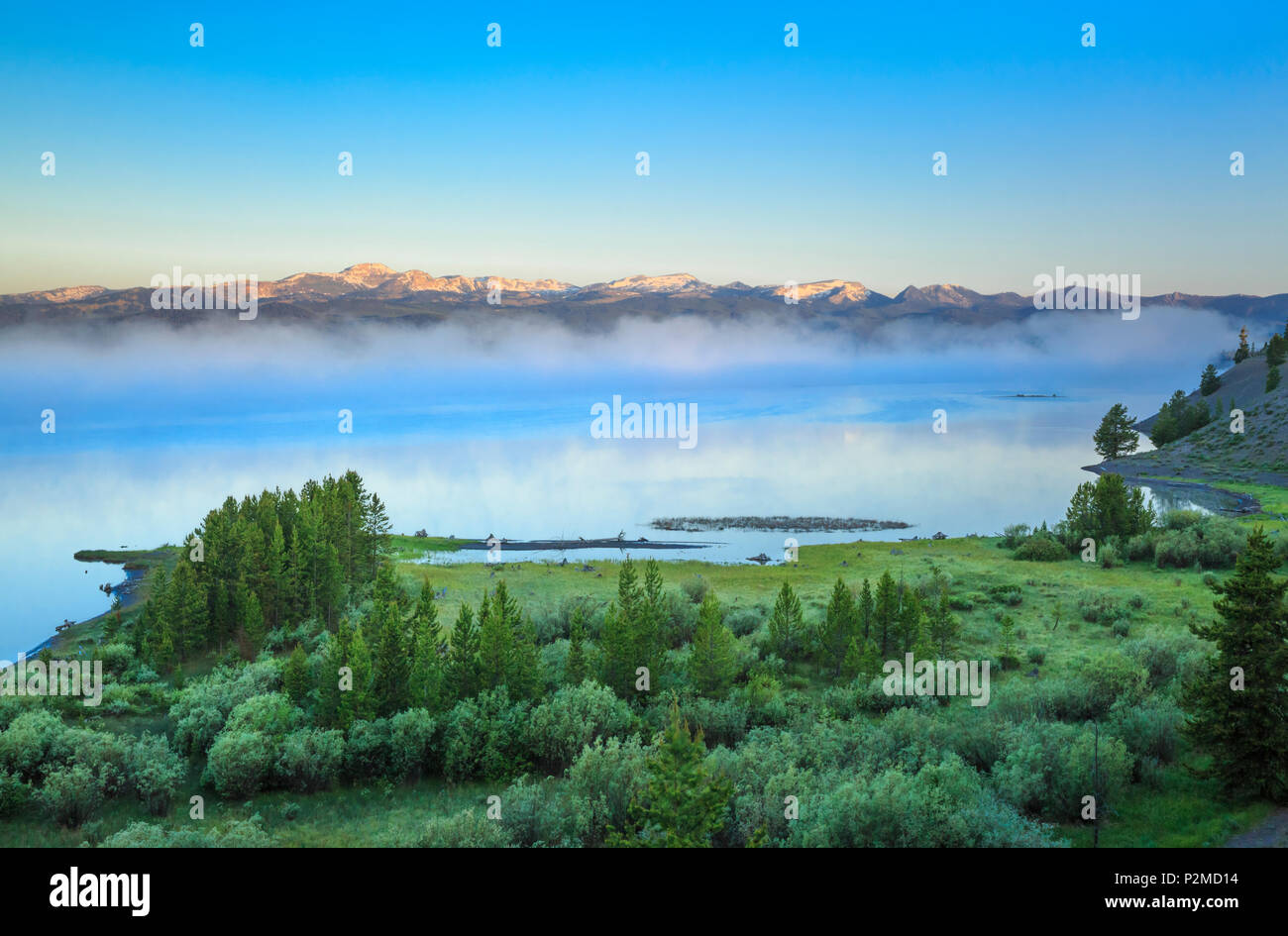 Nebbia di mattina su Madison braccio del lago hebgen vicino a West Yellowstone, montana Foto Stock