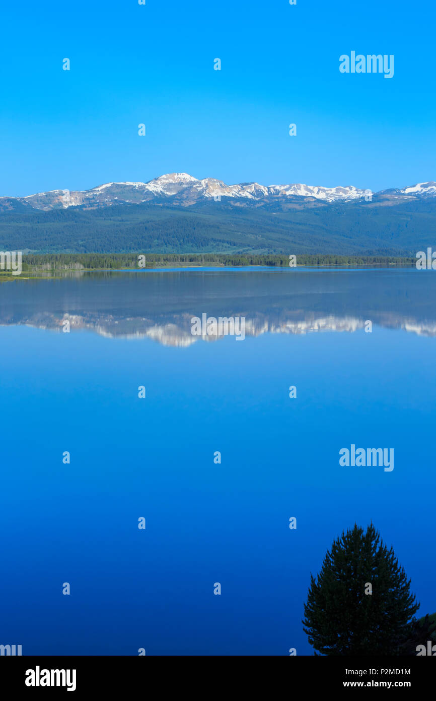 Calma mattina sulla Madison braccio del lago hebgen vicino a West Yellowstone, montana Foto Stock