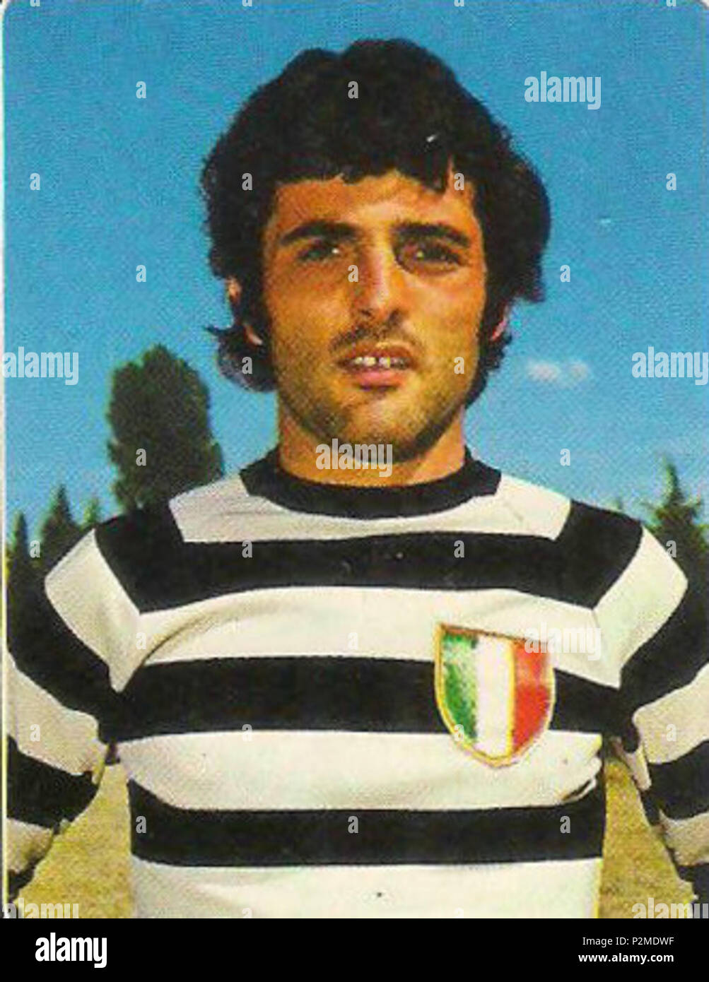 . Inglese: la South African rugby union player Nelson Babrow nel 1973 con la maglia del Club Italiano Petrarca di Padova Italiano: Il rugbista 15 sudafricano Nelson Babrow con la maglia del Petrarca nel 1973 . 1973. Panini 65 Nelson Babrow 1973 Petrarca Foto Stock