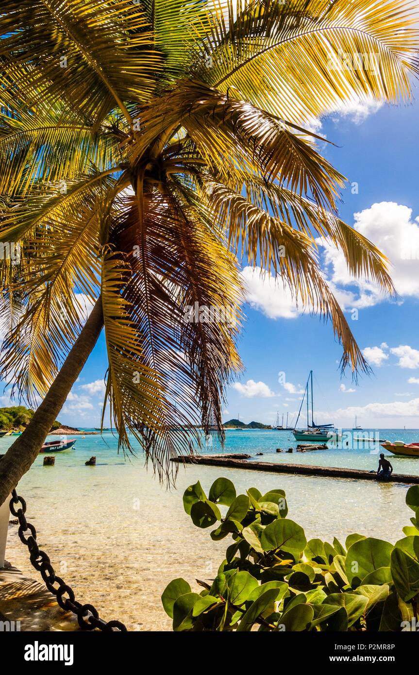 Caraibi, Piccole Antille, Saint Vincent e Grenadine, Union Island, Lagoon visto da Anchorage Yacht Club Foto Stock