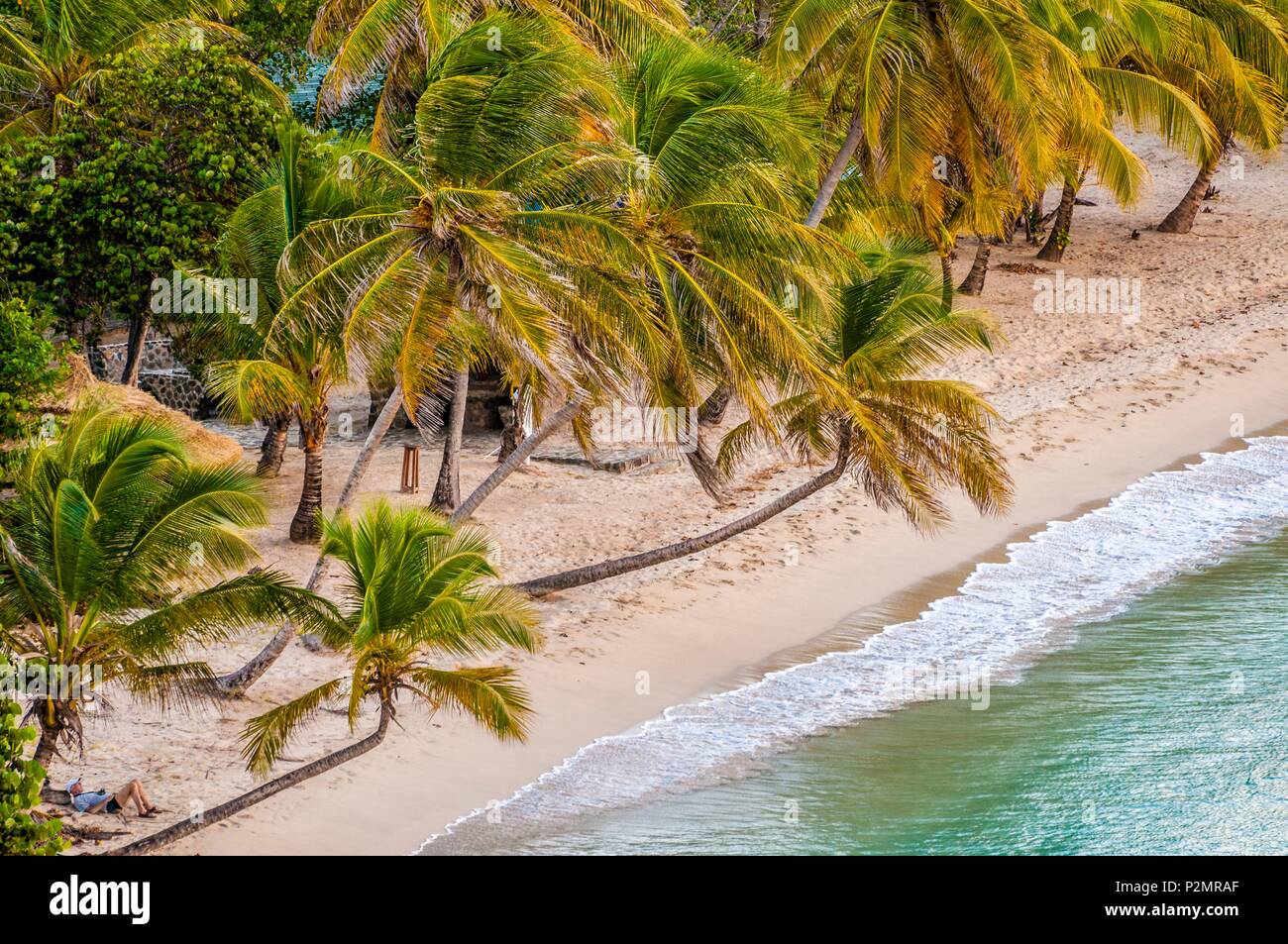 Caraibi, Piccole Antille, Saint Vincent e Grenadine, Mayreau Isola, Salt Whistle Bay beach e Coconut Grove Foto Stock