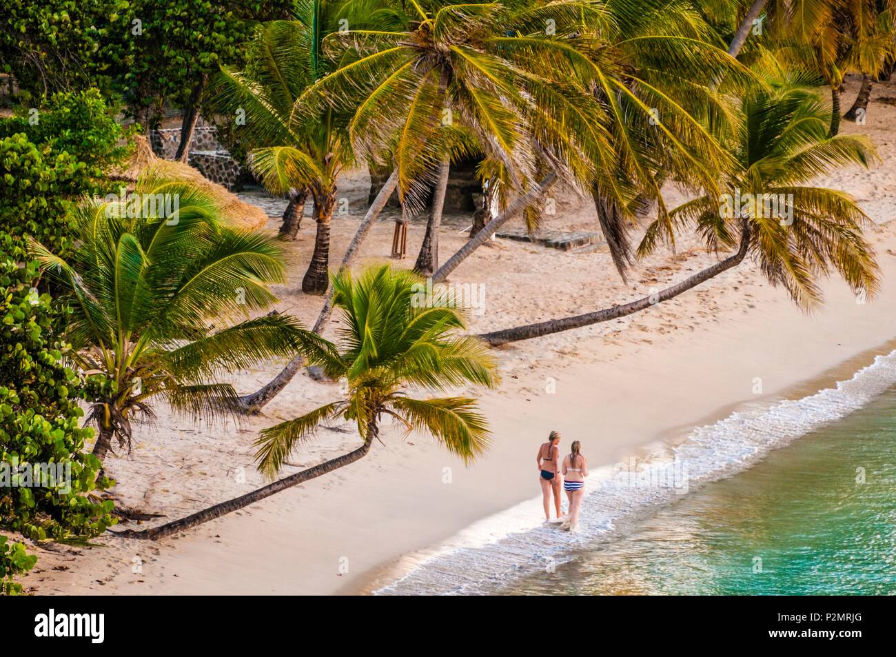 Caraibi, Piccole Antille, Saint Vincent e Grenadine, Mayreau Isola, Salt Whistle Bay beach e Coconut Grove Foto Stock