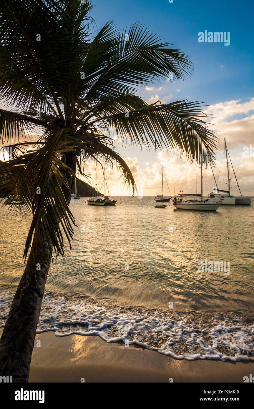 Caraibi, Piccole Antille, Saint Vincent e Grenadine, Mayreau Island, la spiaggia e il boschetto di palme da cocco di Salt Whistle Bay al tramonto Foto Stock