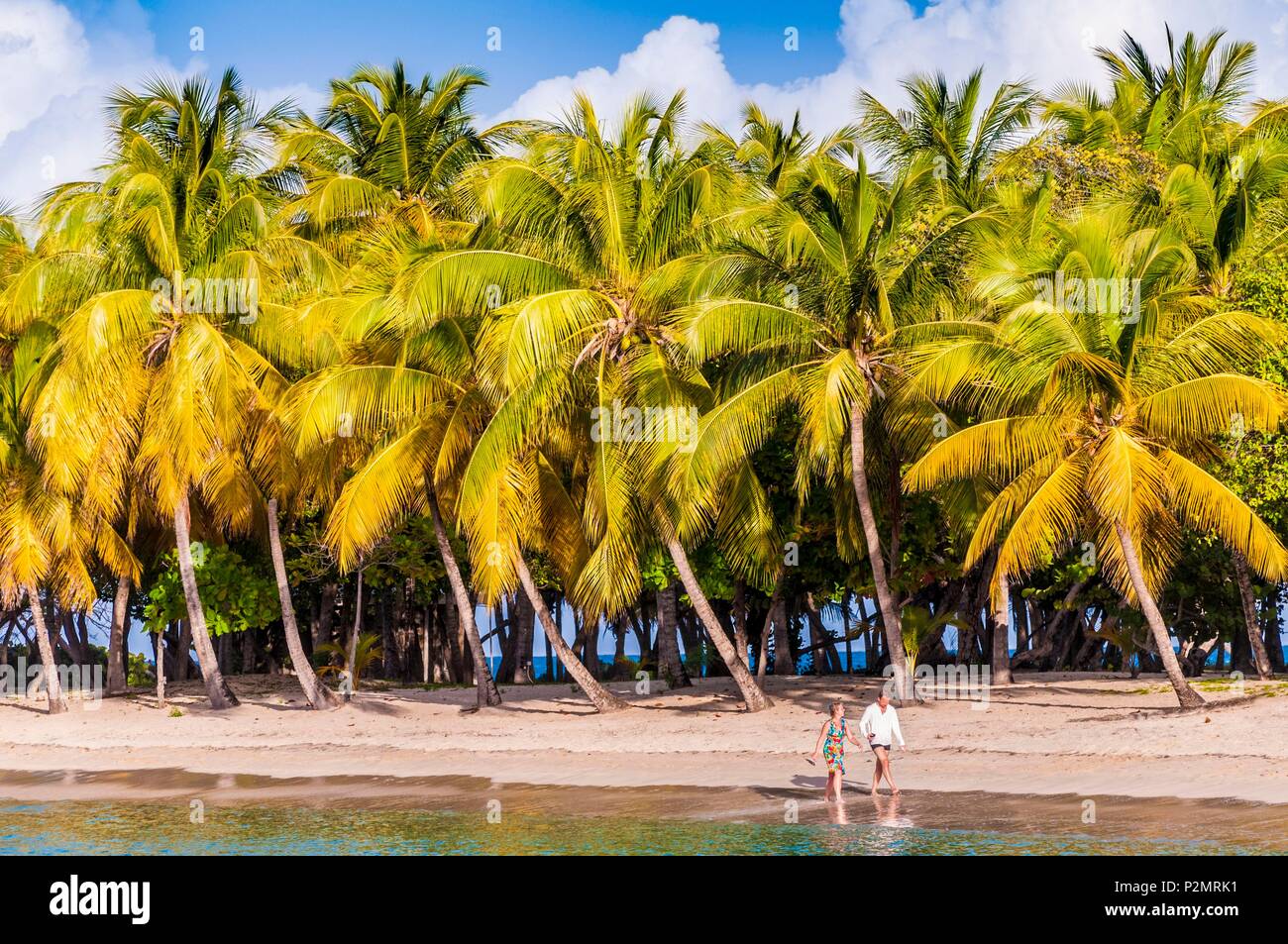 Caraibi, Piccole Antille, Saint Vincent e Grenadine, Mayreau Isola, Salt Whistle Bay beach e Coconut Grove Foto Stock