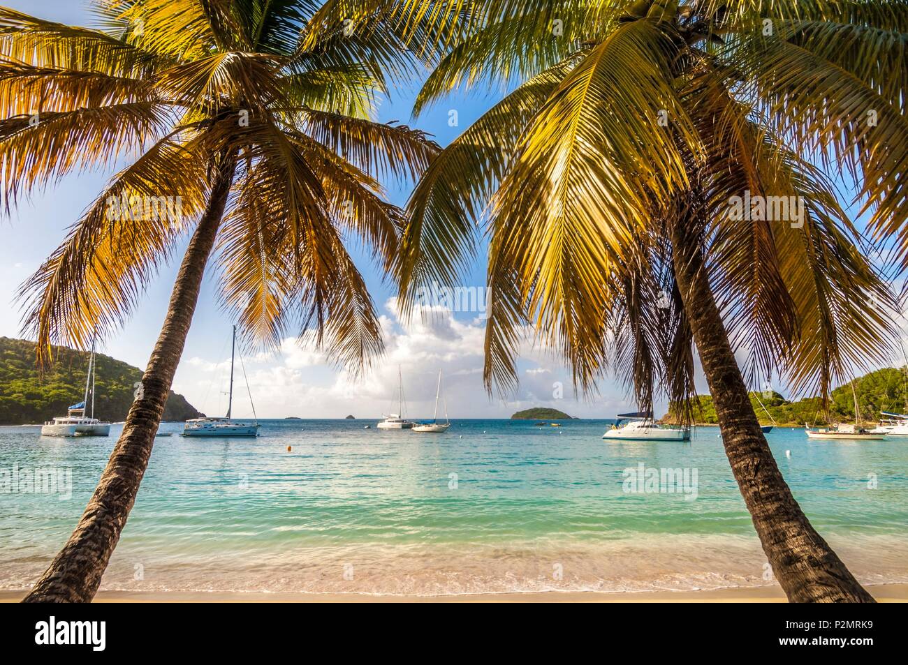 Caraibi, Piccole Antille, Saint Vincent e Grenadine, Mayreau Isola, Salt Whistle Bay Beach e Coconut Grove Foto Stock
