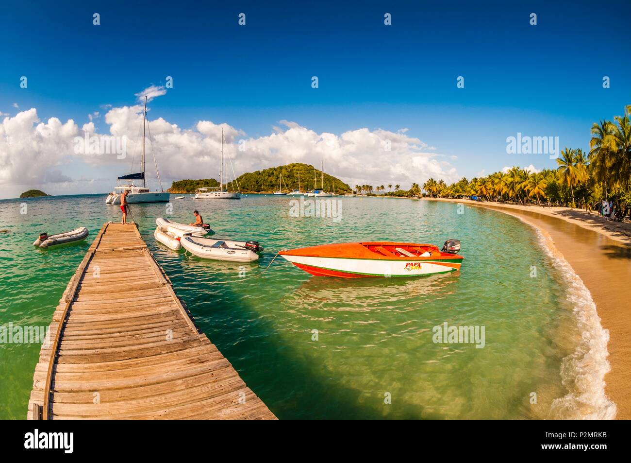 Caraibi, Piccole Antille, Saint Vincent e Grenadine, Mayreau Isola, Salt Whistle Bay Beach e Coconut Grove Foto Stock