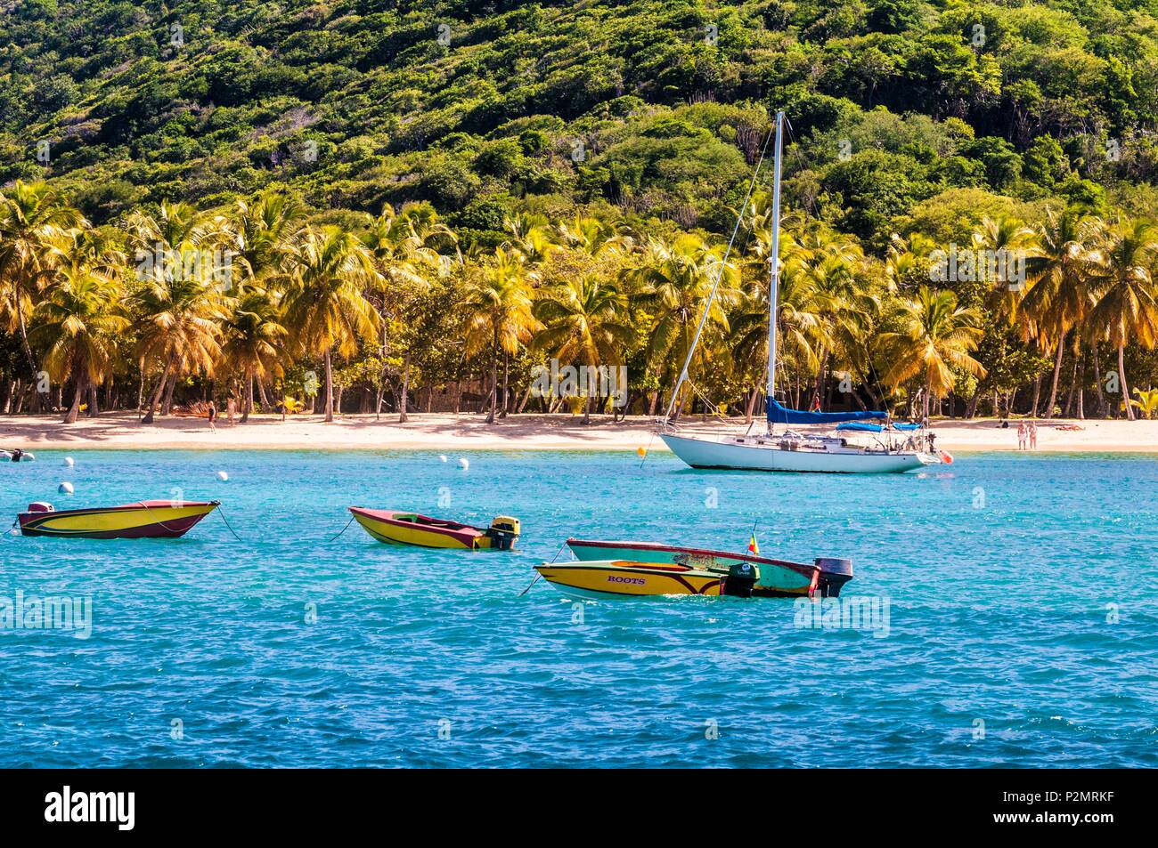 Caraibi, Piccole Antille, Saint Vincent e Grenadine, Mayreau Isola, Salt Whistle Bay Beach e Coconut Grove Foto Stock