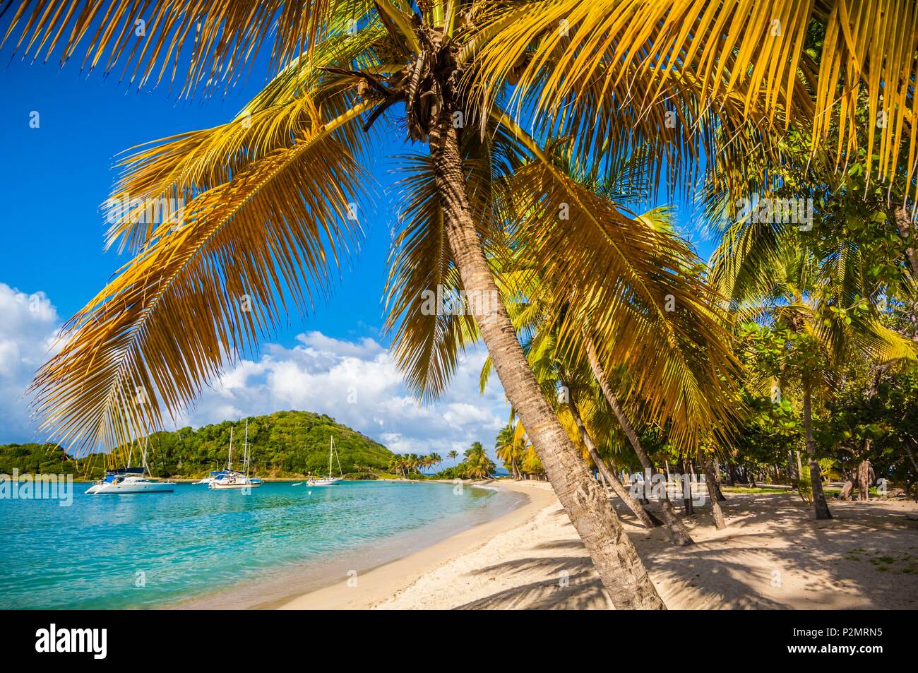 Caraibi, Piccole Antille, Saint Vincent e Grenadine, Mayreau Isola, Salt Whistle Bay Beach e Coconut Grove Foto Stock