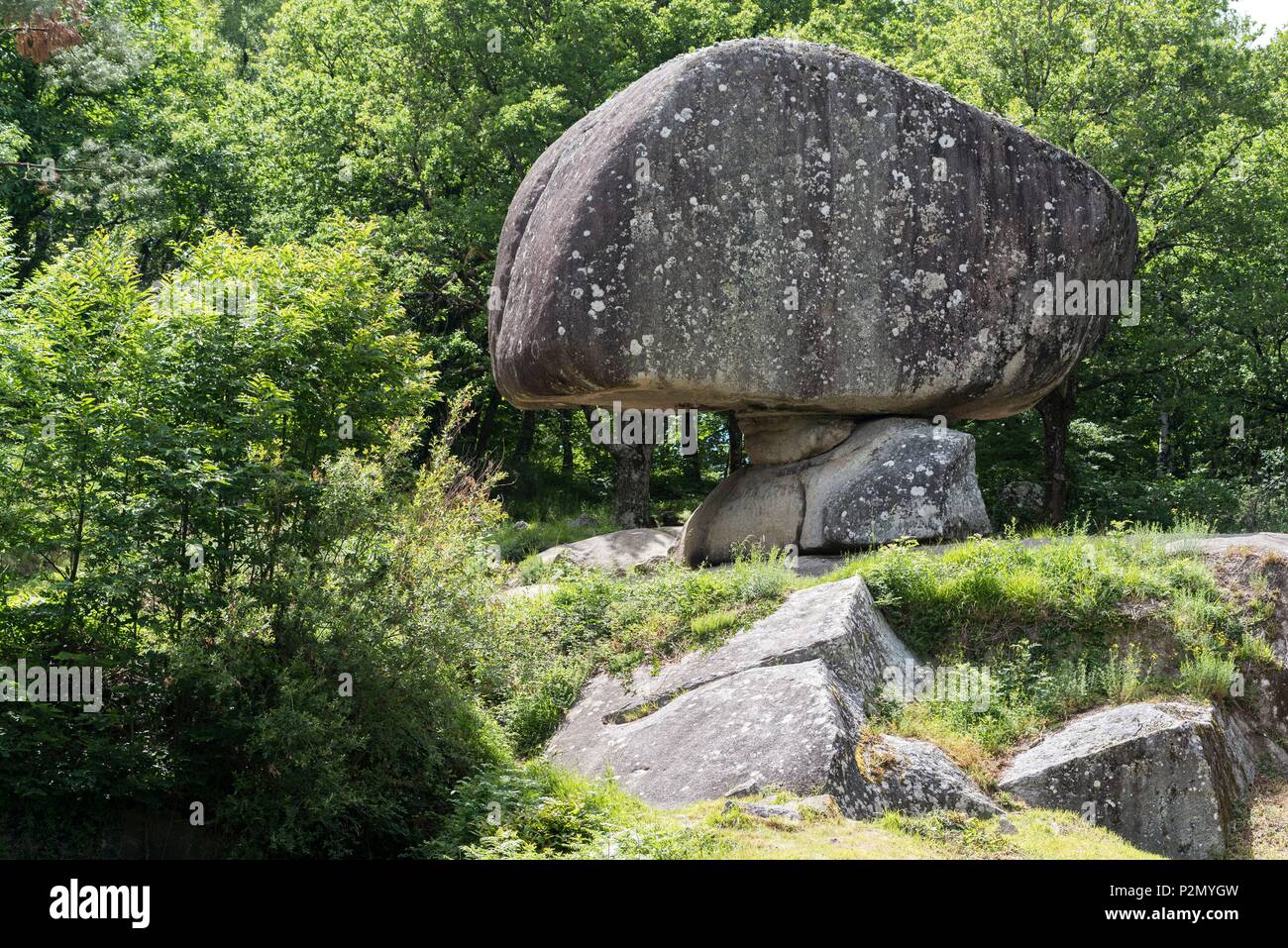 Francia, Tarn, Lacrouzette, Parco Naturale Regionale di Haut Languedoc, Sidobre altopiano, rock in equilibrio Peyro Clabado Foto Stock