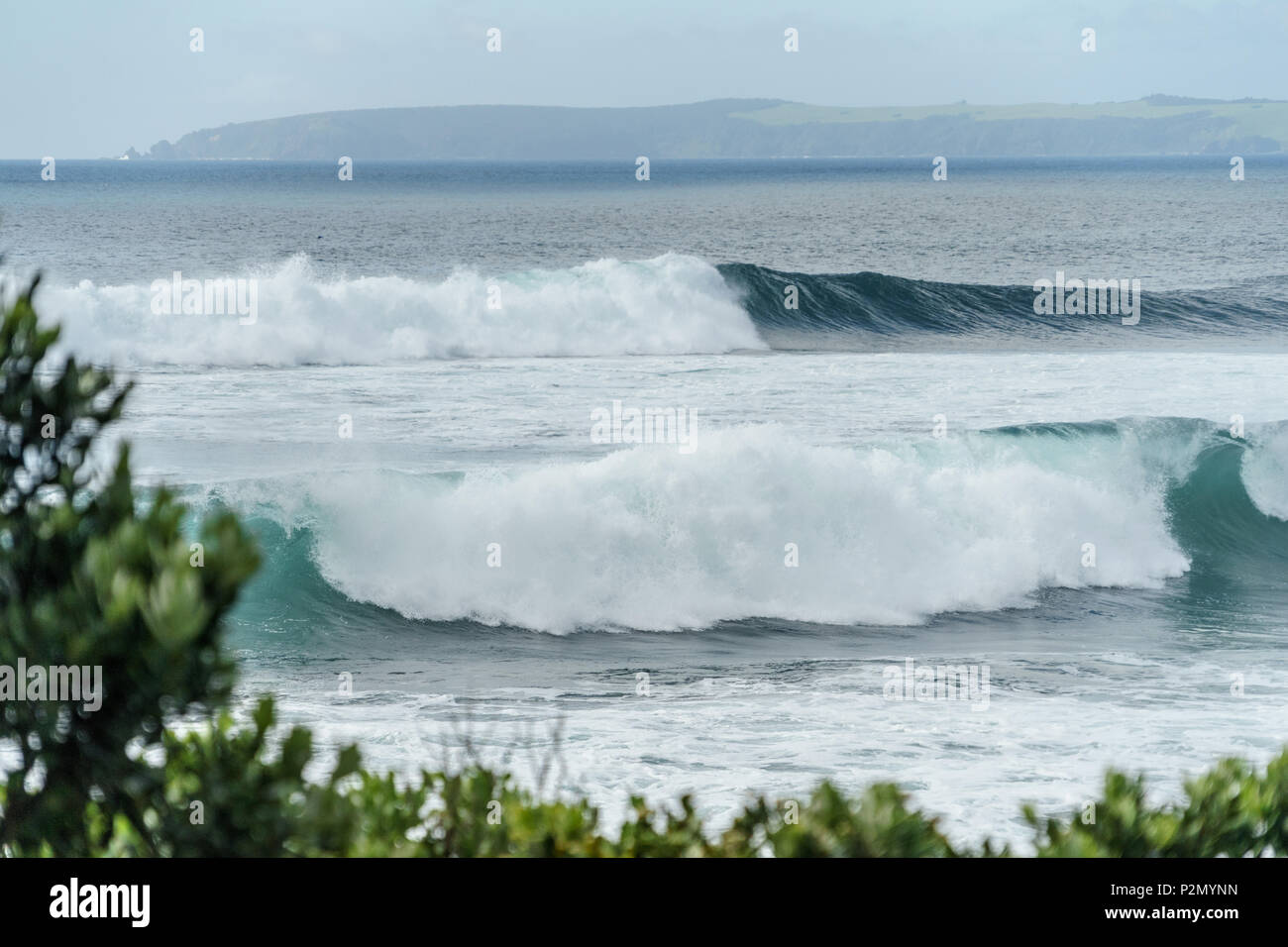 Drammatico colpo di oceano ondulata con montagne in lontananza e rami verdi sul primo piano, Leigh Beach, Nuova Zelanda Foto Stock